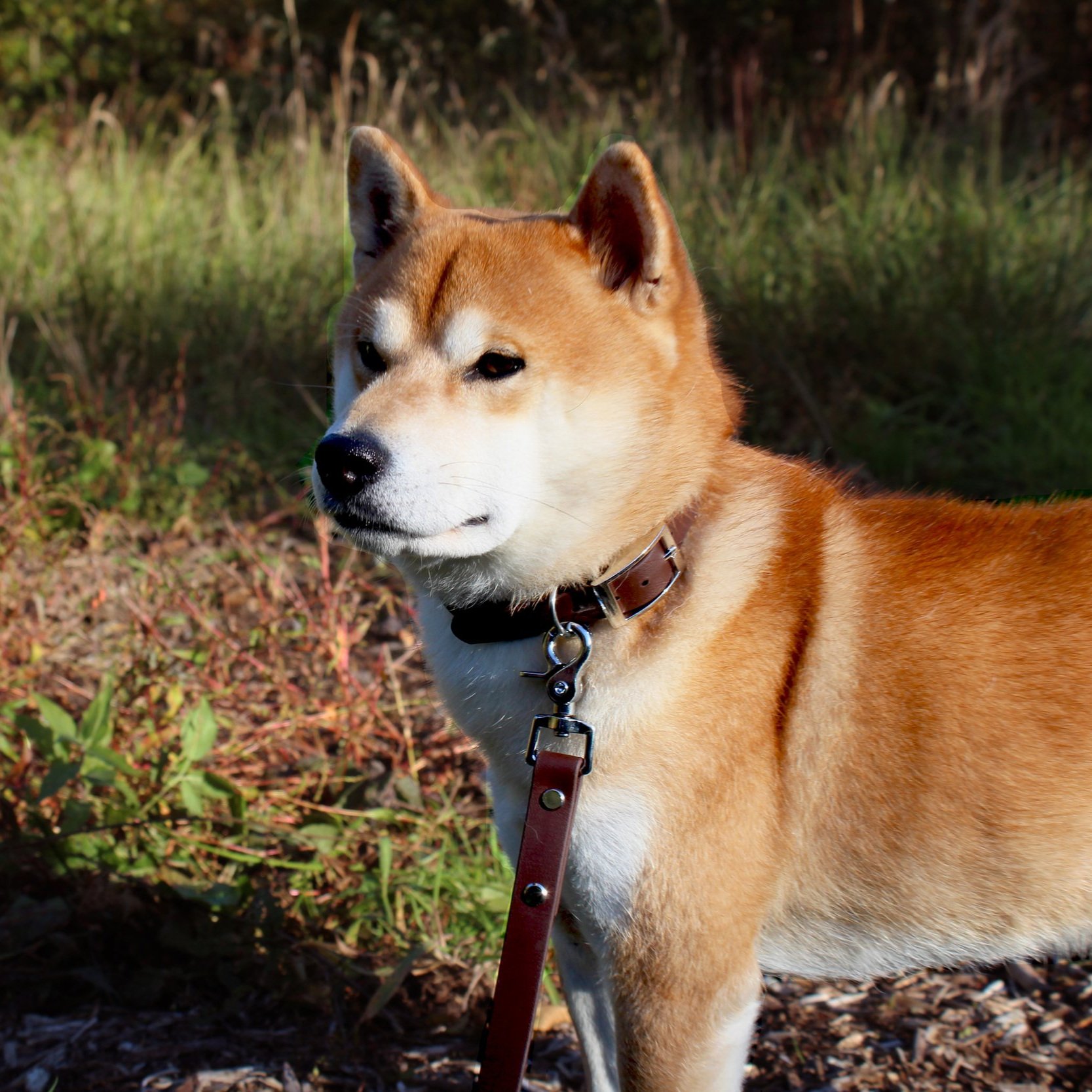 koki+marron+fonc%C3%A9.jpg