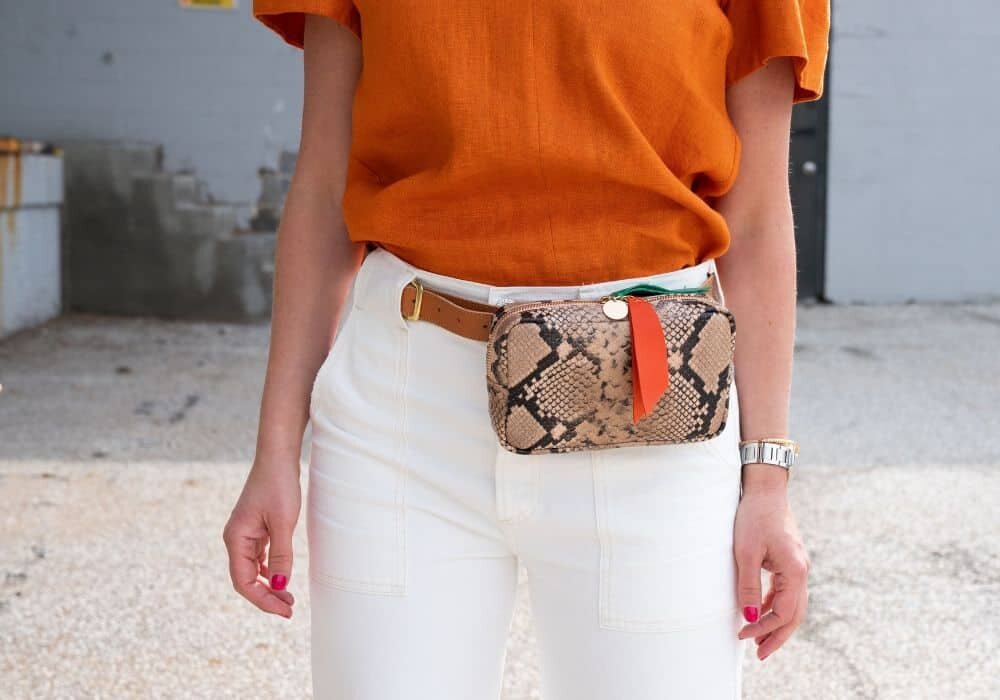 Åbent At redigere prangende Are Fanny Packs In Again? The Answer is… — The Wardrobe Consultant