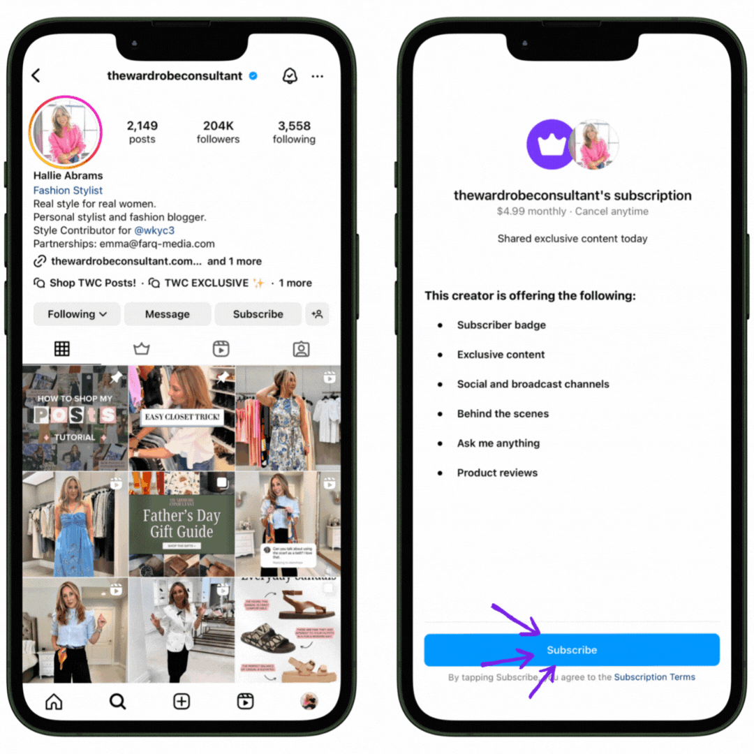 Instagram Subscription — The Wardrobe Consultant