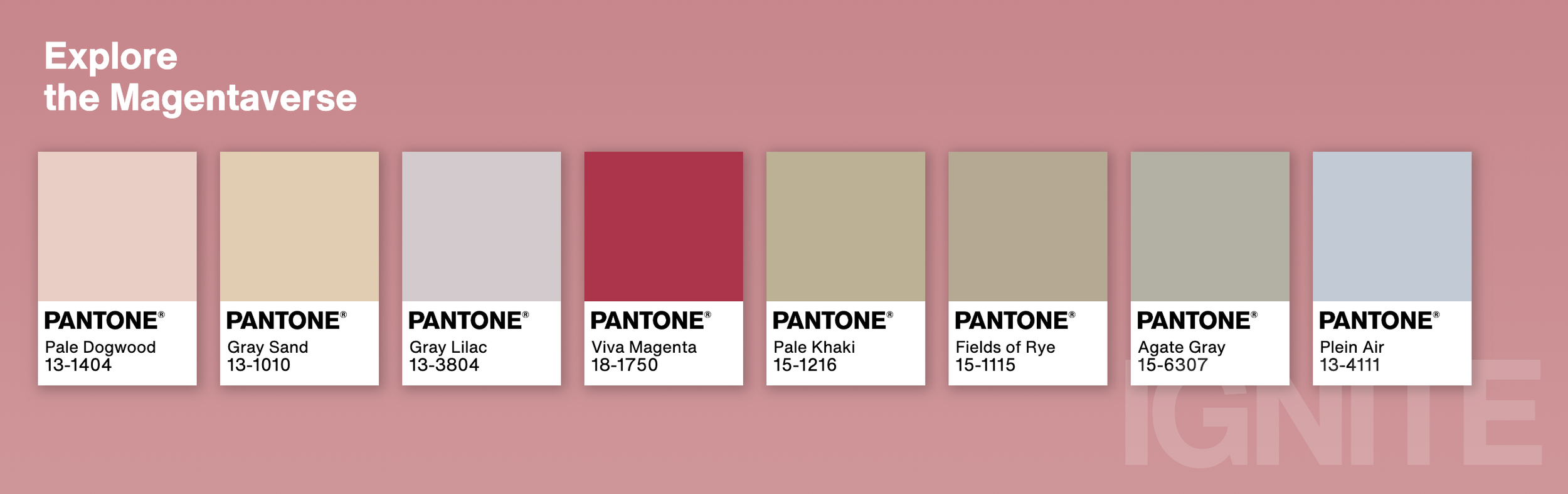 Trending Colors 2023  Pantone + High Fashion Color Forecast