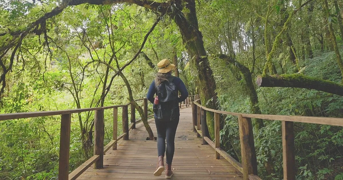 The Upside of Low Expectations