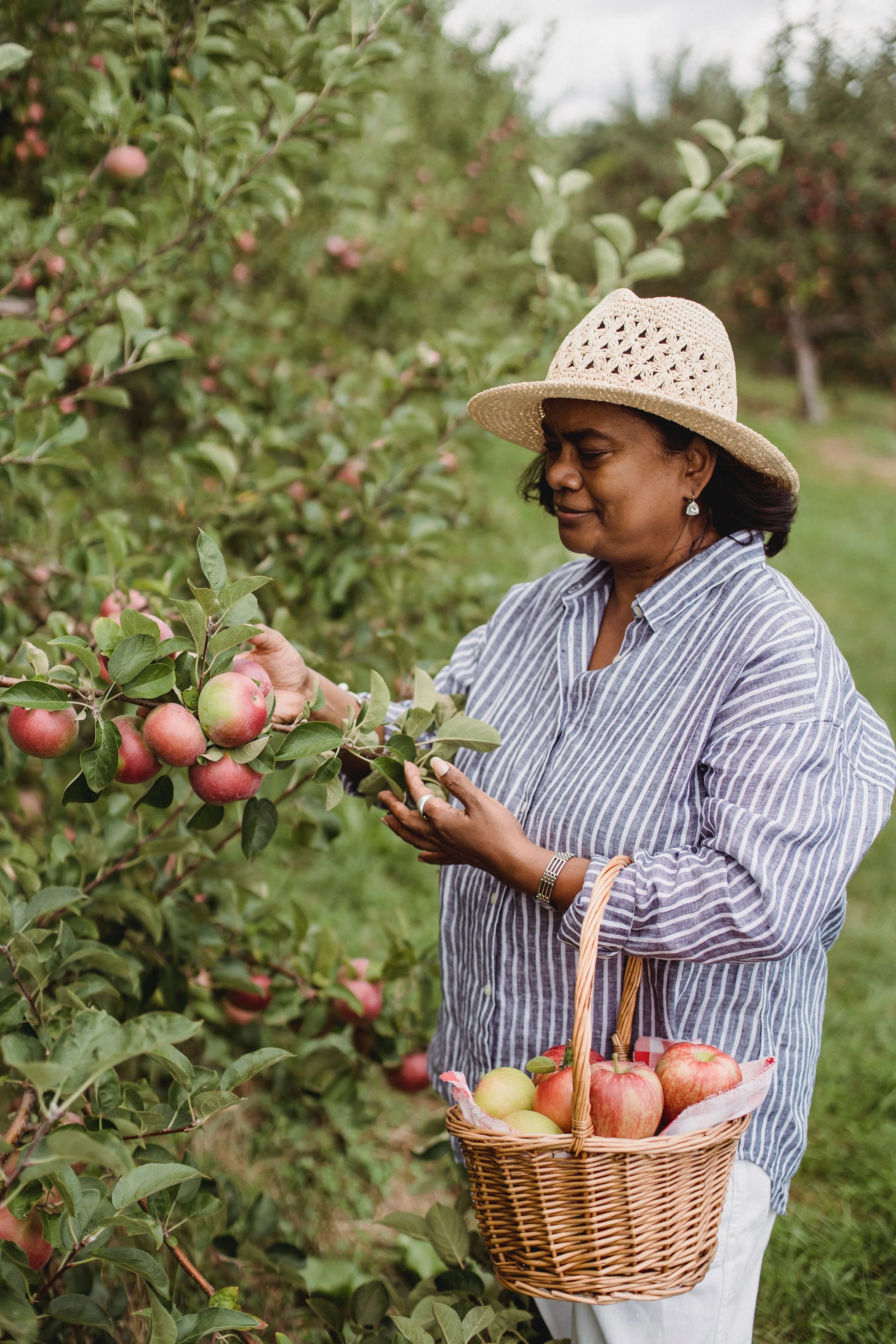 older woman picking fruit in a garden