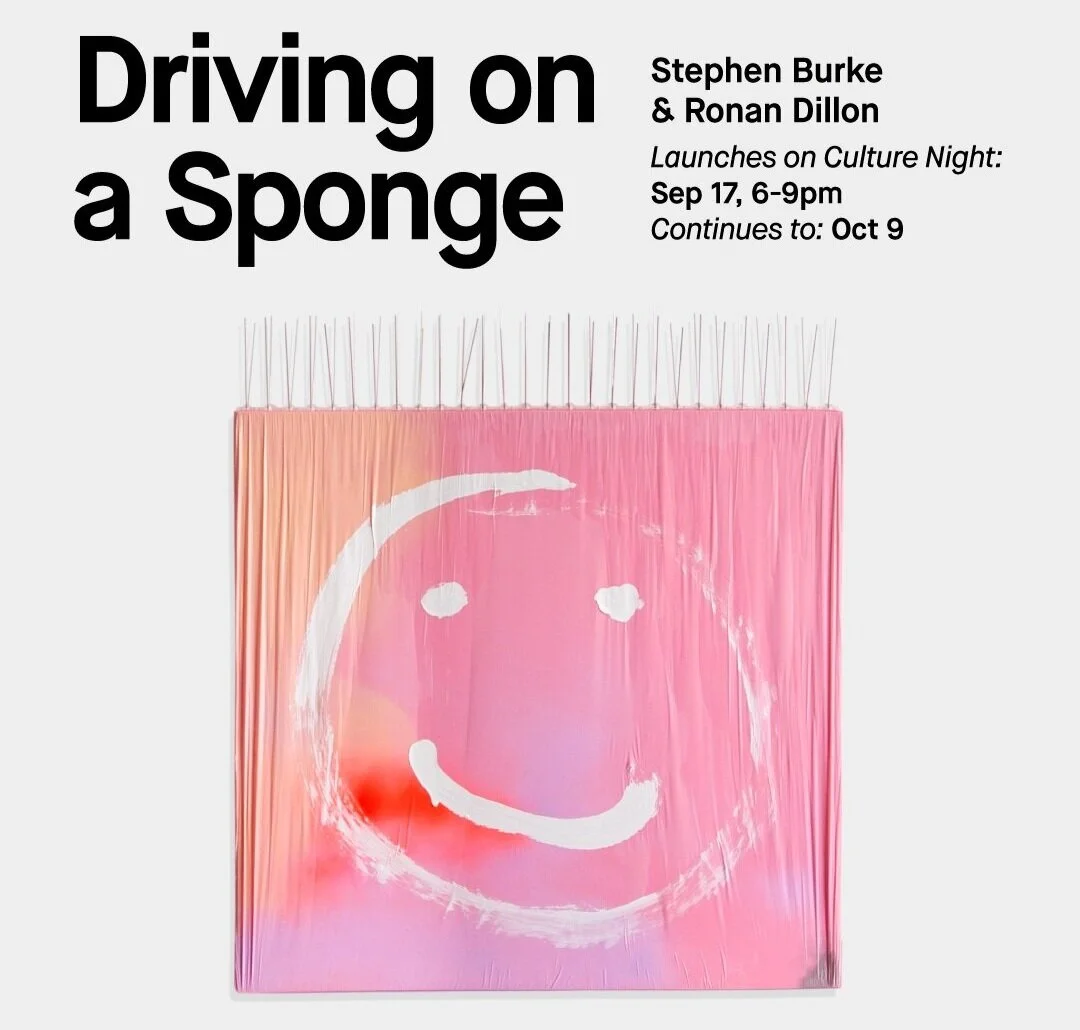 Driving on a Sponge by Ronan Dillon & Stephen Burke