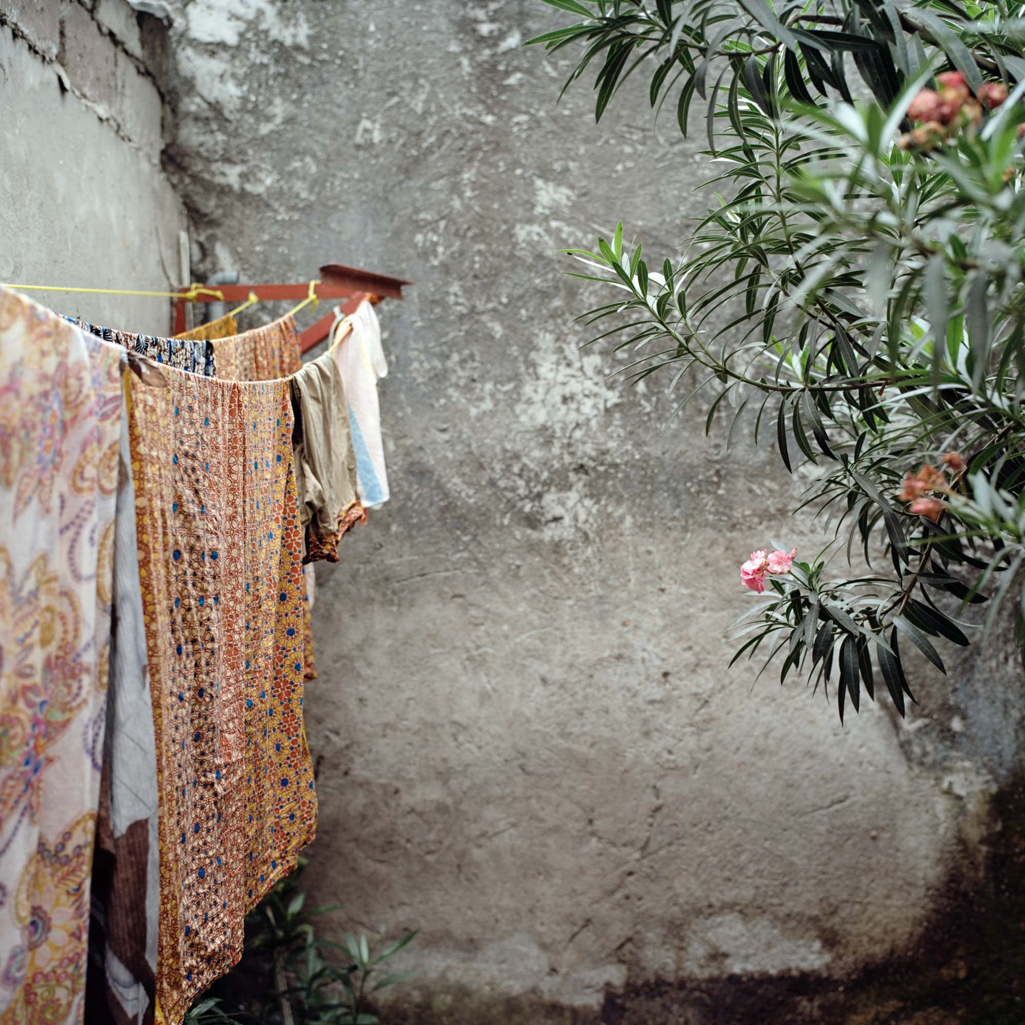 At the back of the house, in the open-air laundry room, the Sisters' loincloths are in dialogue with the oleander. 