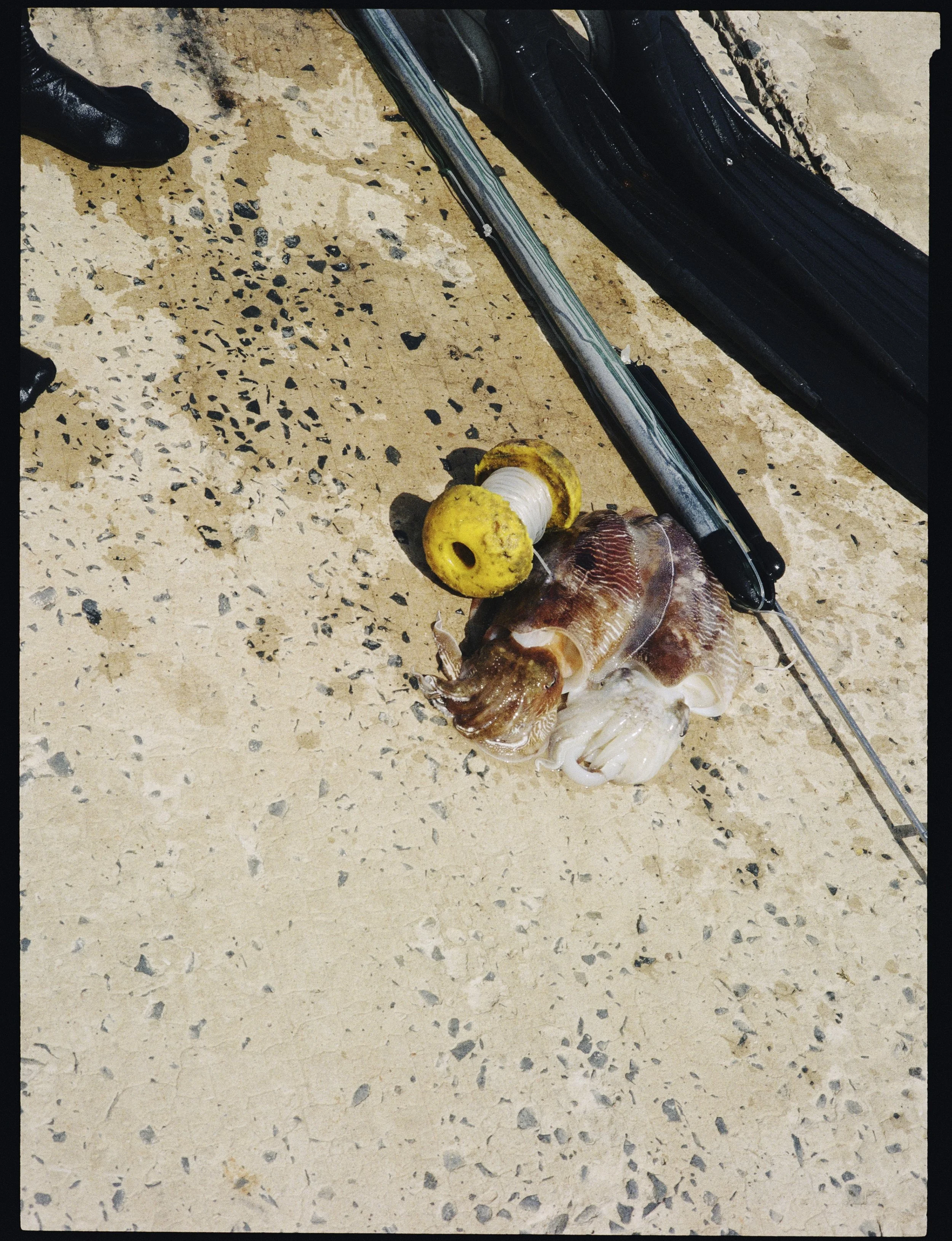 kodak_professional_portra_800_04_01_2025_000212790010R.jpg