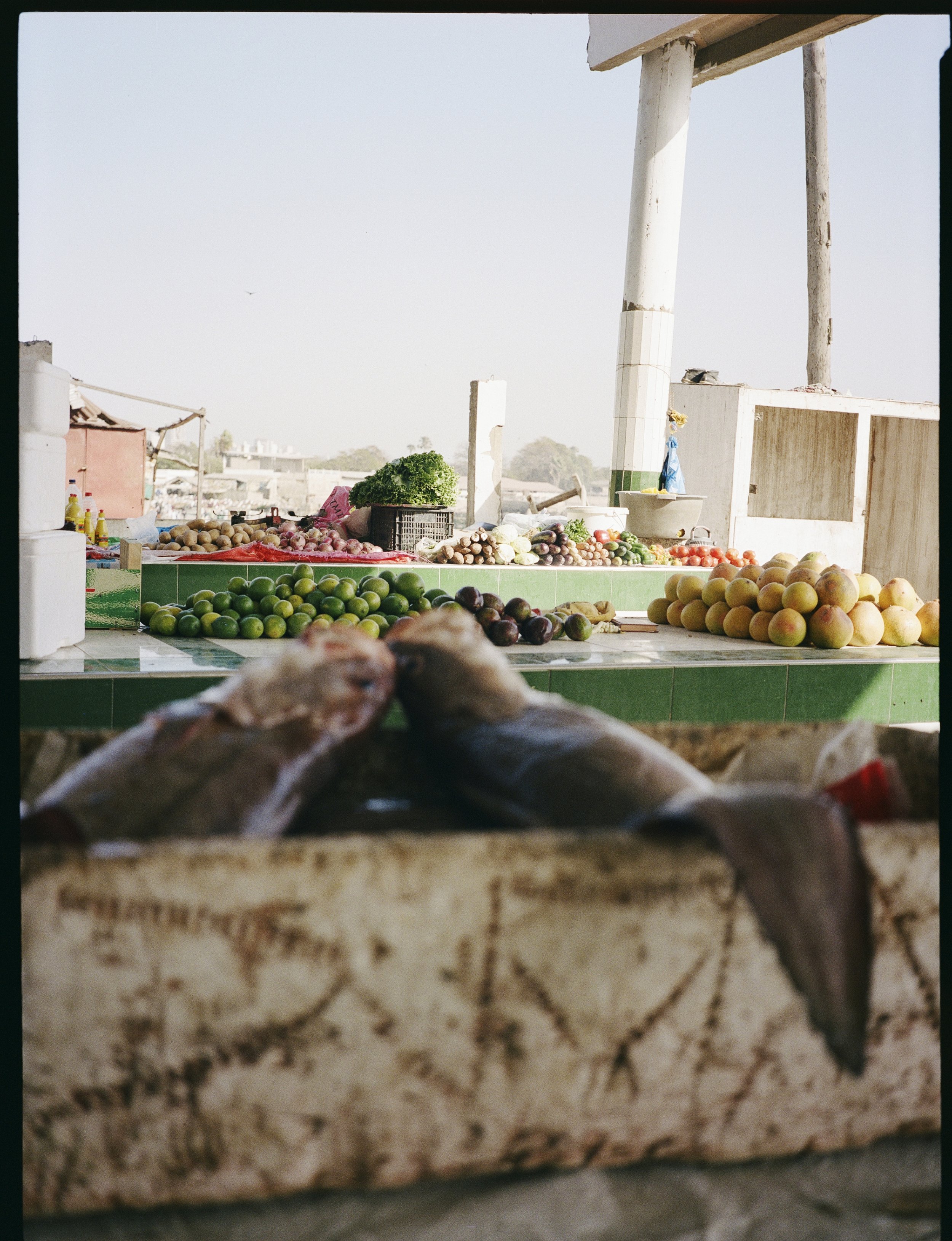 kodak_professional_portra_400_04_01_2025_000229800012R.jpg