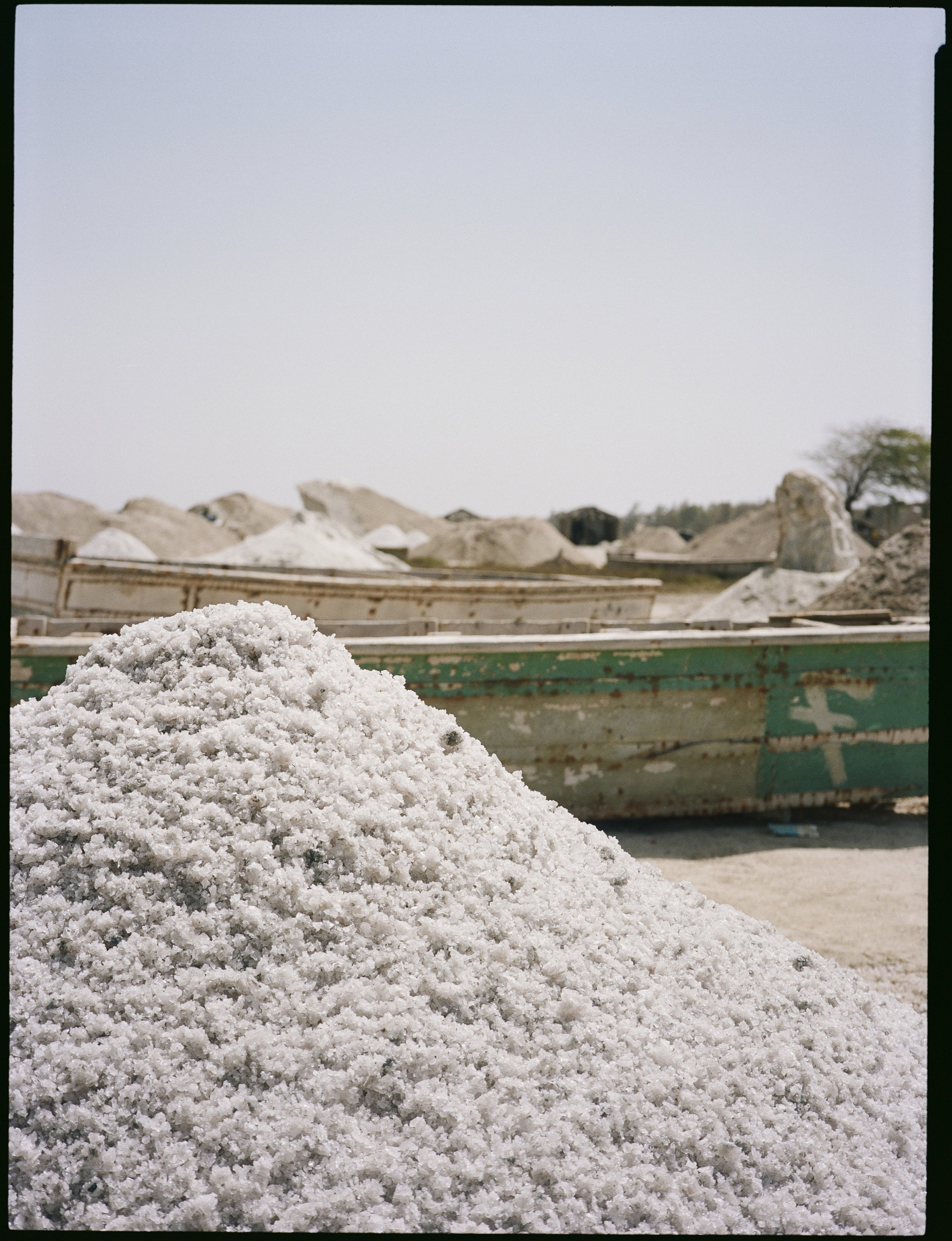 kodak_professional_portra_160_04_01_2025_000030180014R.jpg