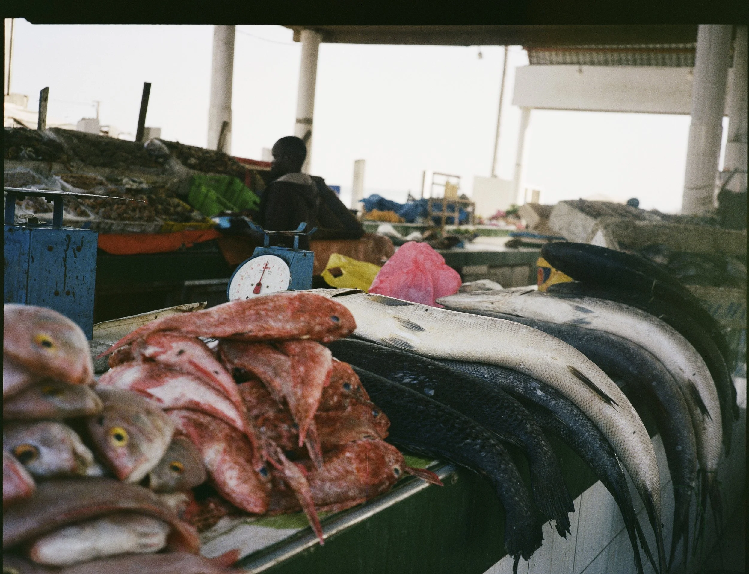kodak_professional_portra_400_04_01_2025_000229800007R.jpg