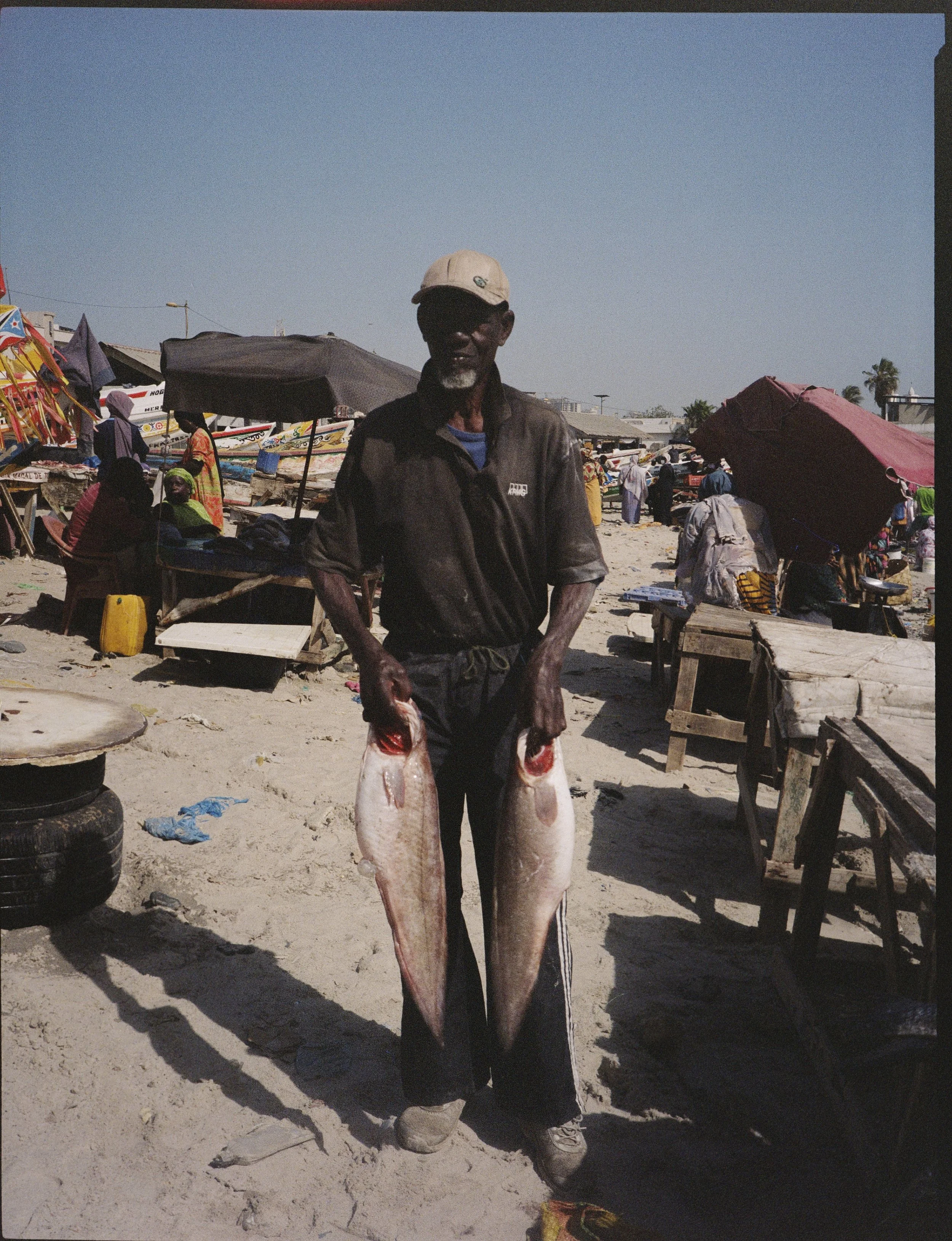 kodak_professional_portra_800_04_01_2025_000444440001R.jpg