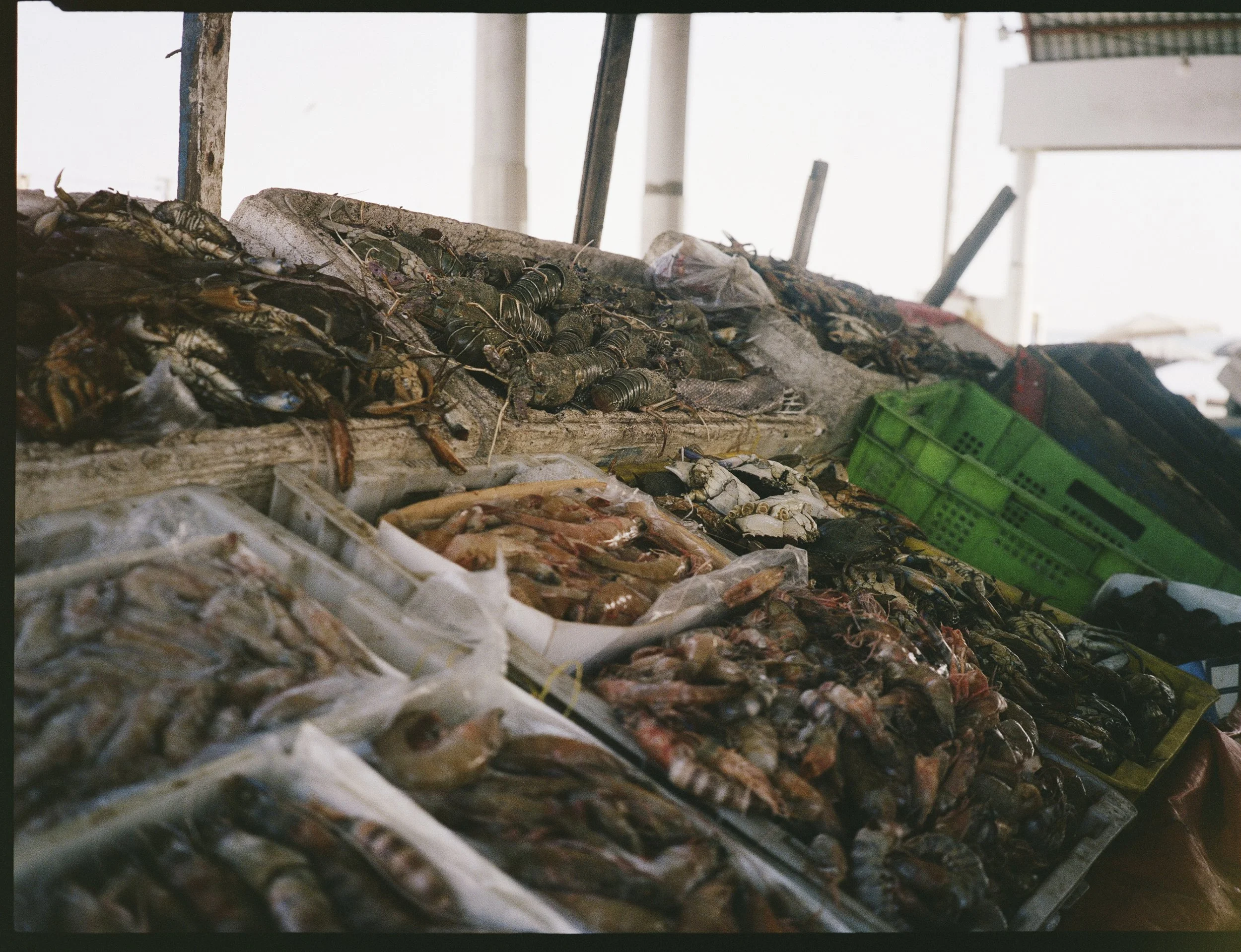 kodak_professional_portra_400_04_01_2025_000229800010R.jpg