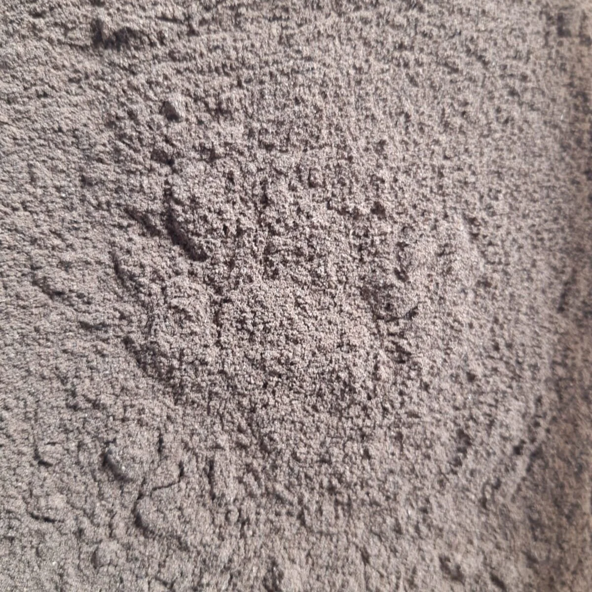 Herbs and Spices — Replenish Refills