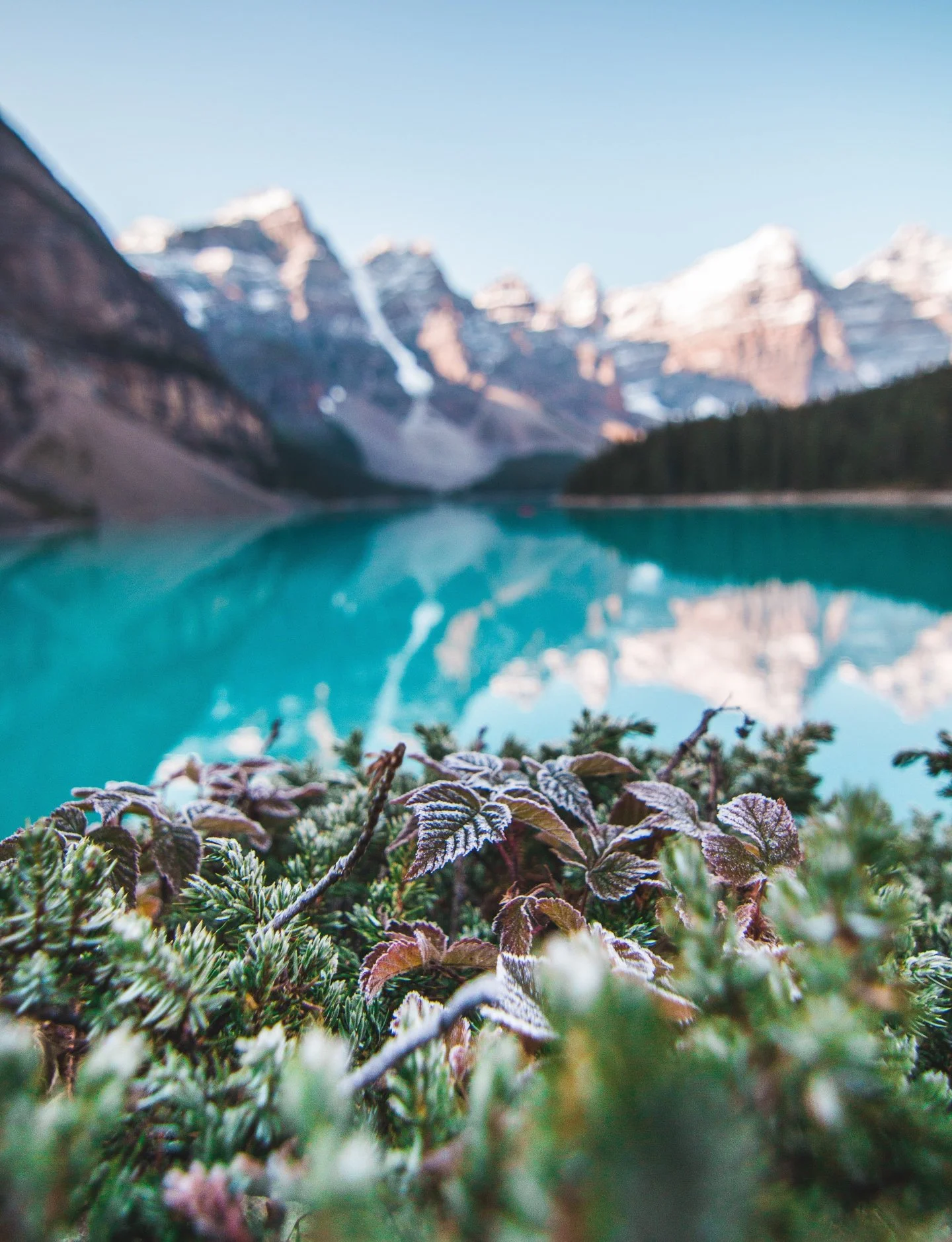 With spring break here for many RVS students, it's a rare moment for the "academic noise" to quiet down.

Often, this is when we finally notice how much our teens and young adults have been carrying.

If your teen or young adult has been st