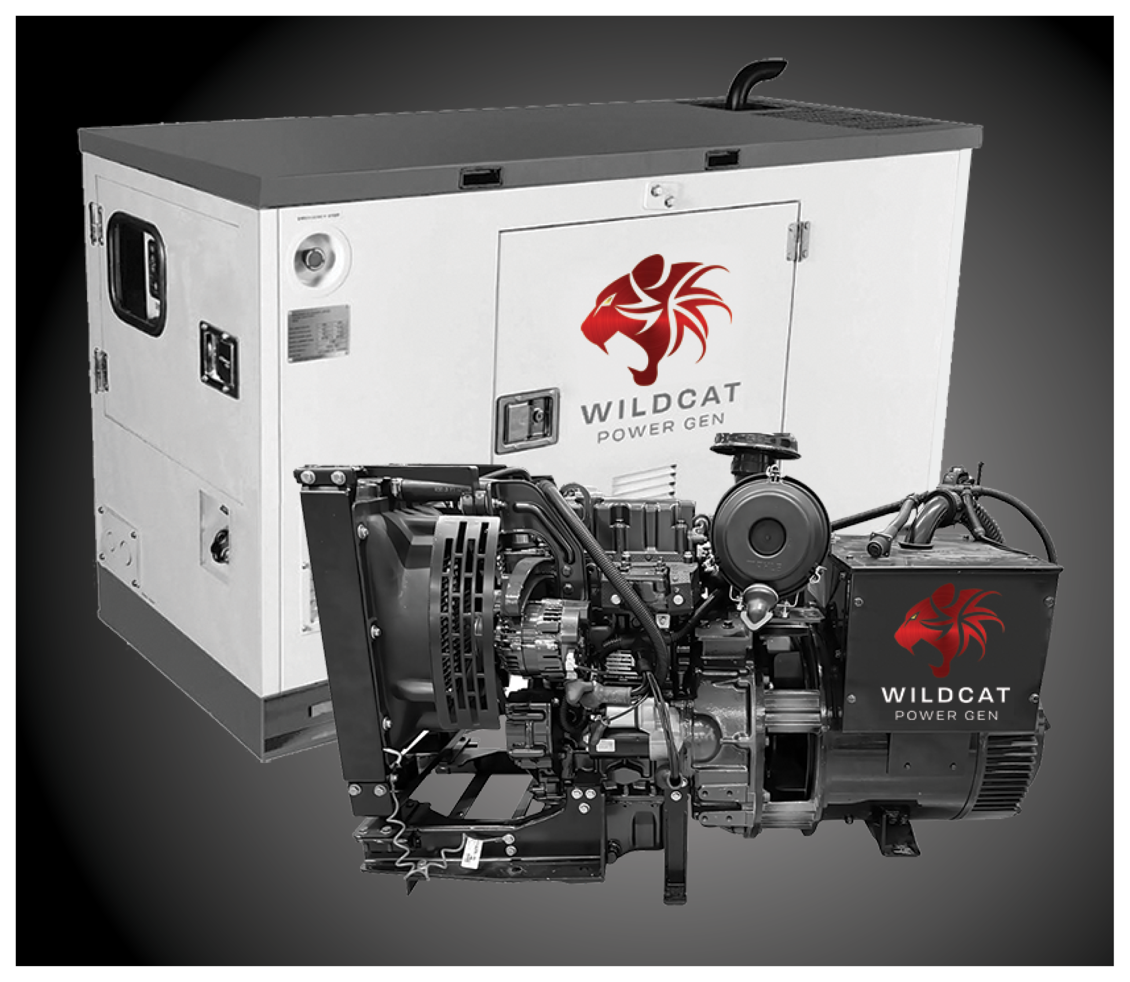 Wildcat Renegade for website.png