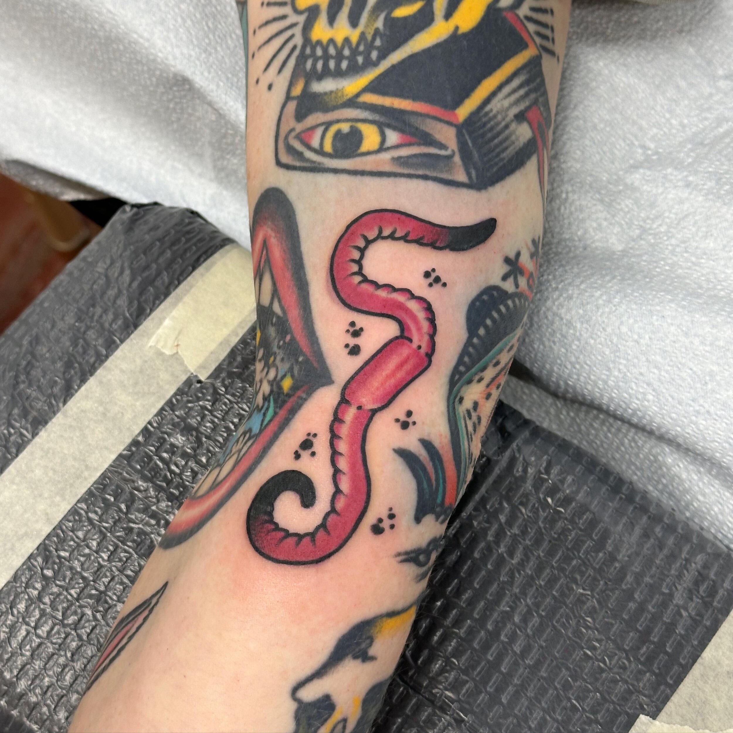 A worm! By @marshall.gif. Walk ins this Saturday. 
However next Saturday Feb 24th we&rsquo;ll be closed so go outside, pet a dog, eat a vegetable, etc. 🏄🏻&zwj;♂️