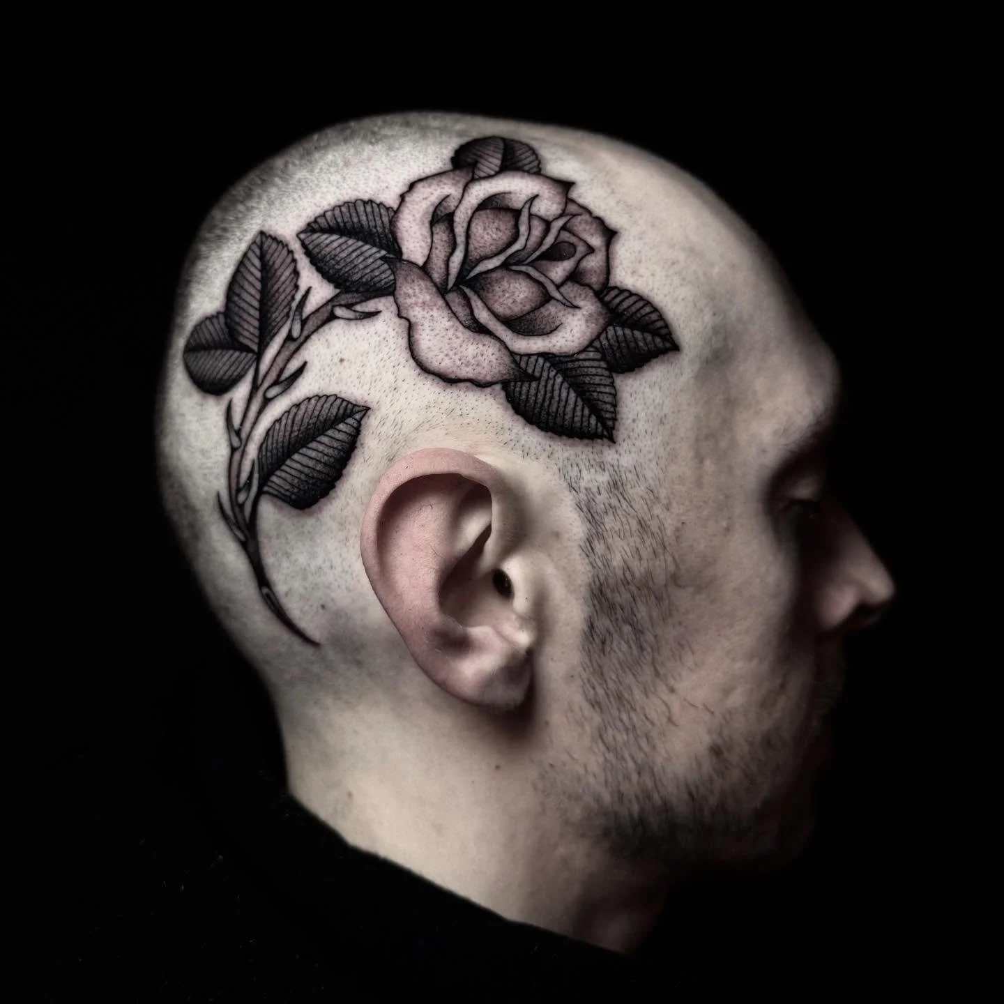 A rose tattoo on the side of Caleb&rsquo;s head, beautifully executed by Mr. Head Tattoo himself @q.b.tattoo 🥀 hit up Q directly to book a tattoo appointment.