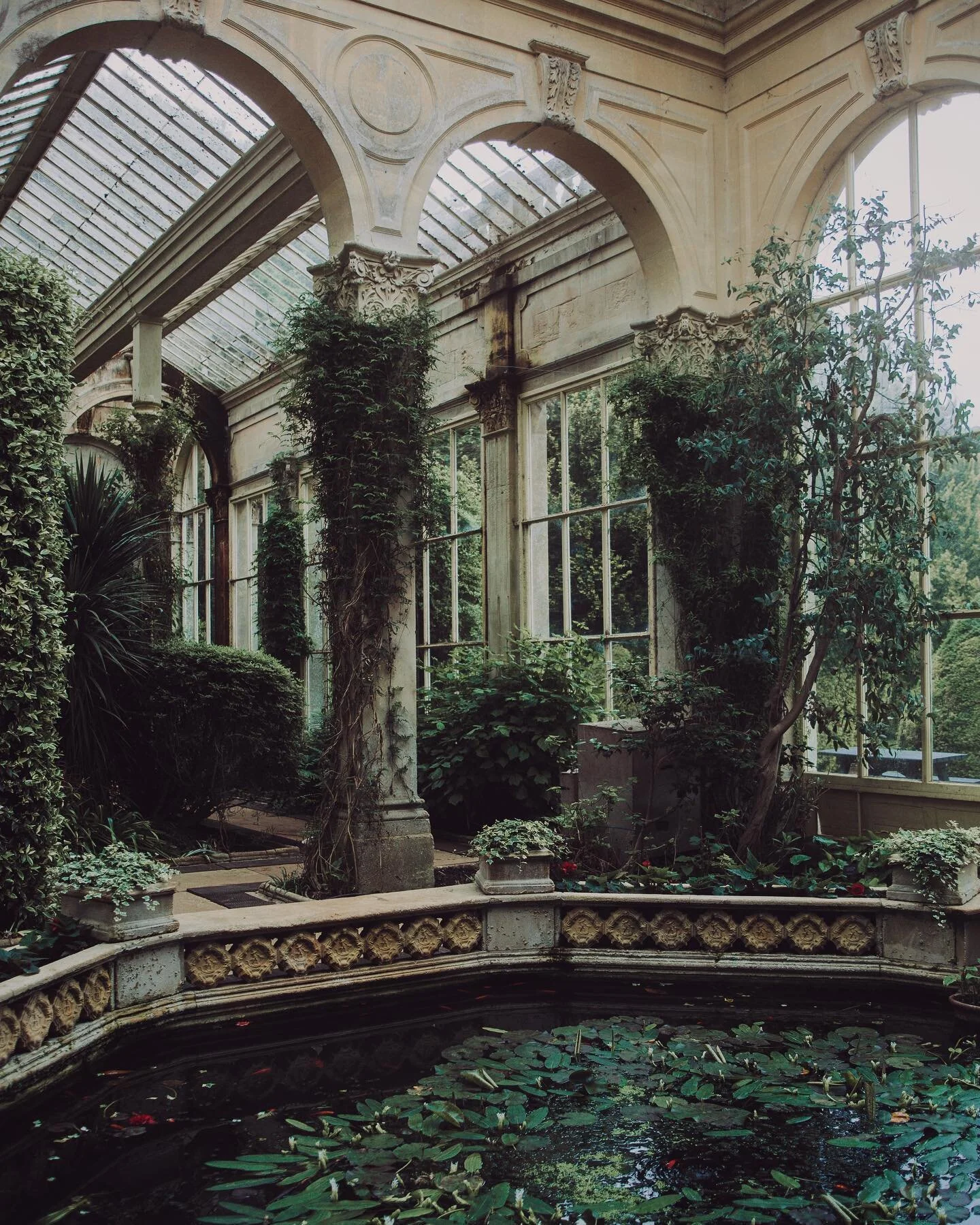 So happy that lockdown is ending next week and I get back to what I need to do again🌿 have a nice day everyone 💚