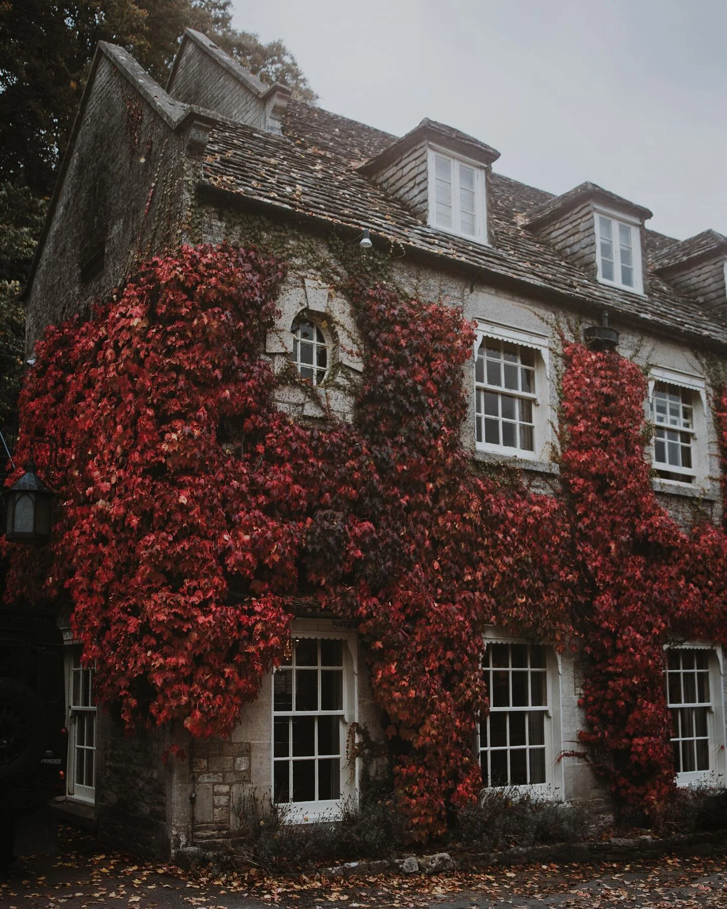 Once again I&rsquo;ve decided to blow the dust off my Instagram 😊 hundreds of pictures are awaiting and once again I thought the world should see them not just me 😅 Would you be so kind and leave any sort of comment so that I know that you&rsquo;re