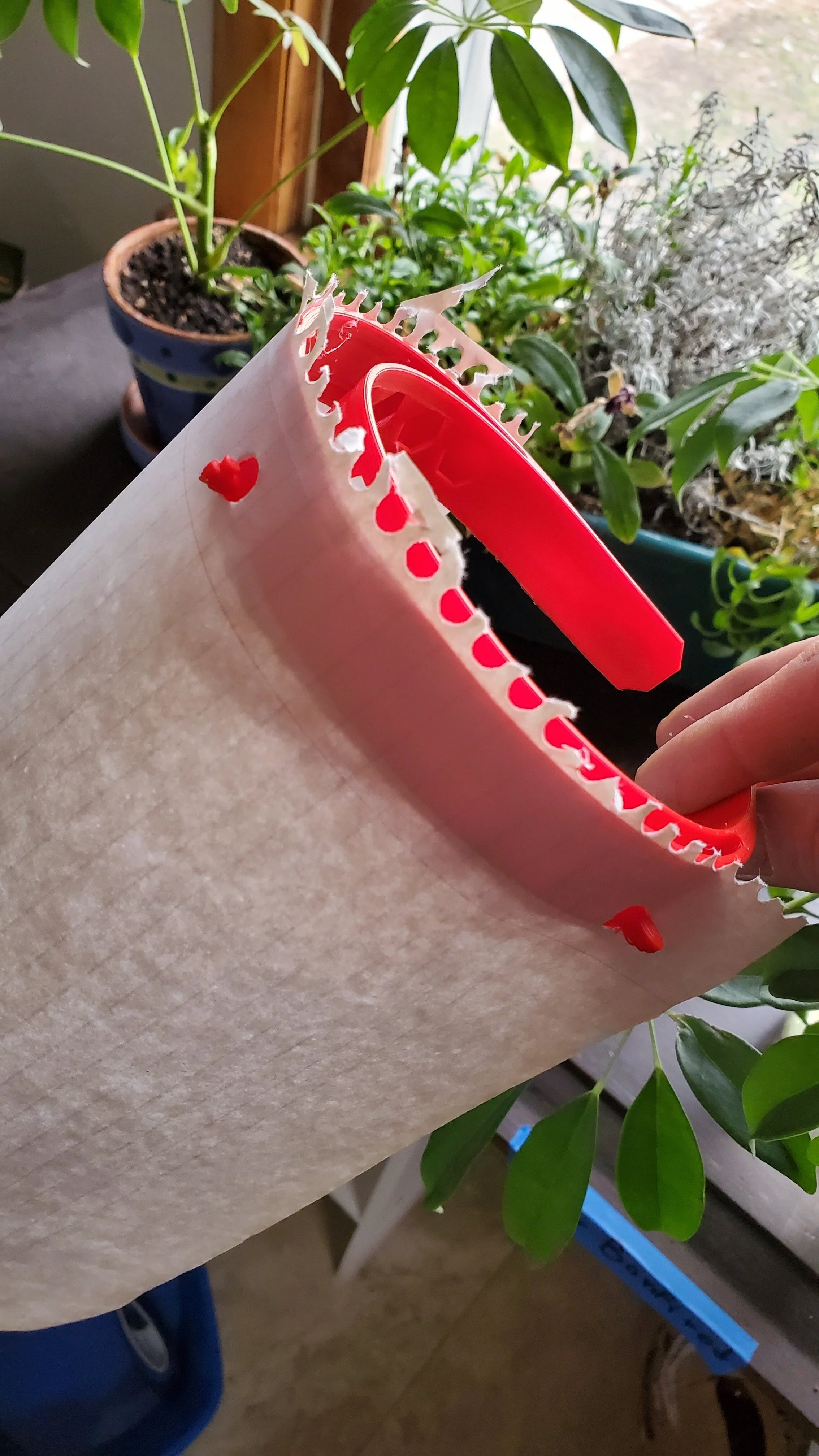 A person peeling off a red sticker or decal from a sheet, with some red wax or paint droplets on a piece of paper, in front of potted green houseplants near a window.