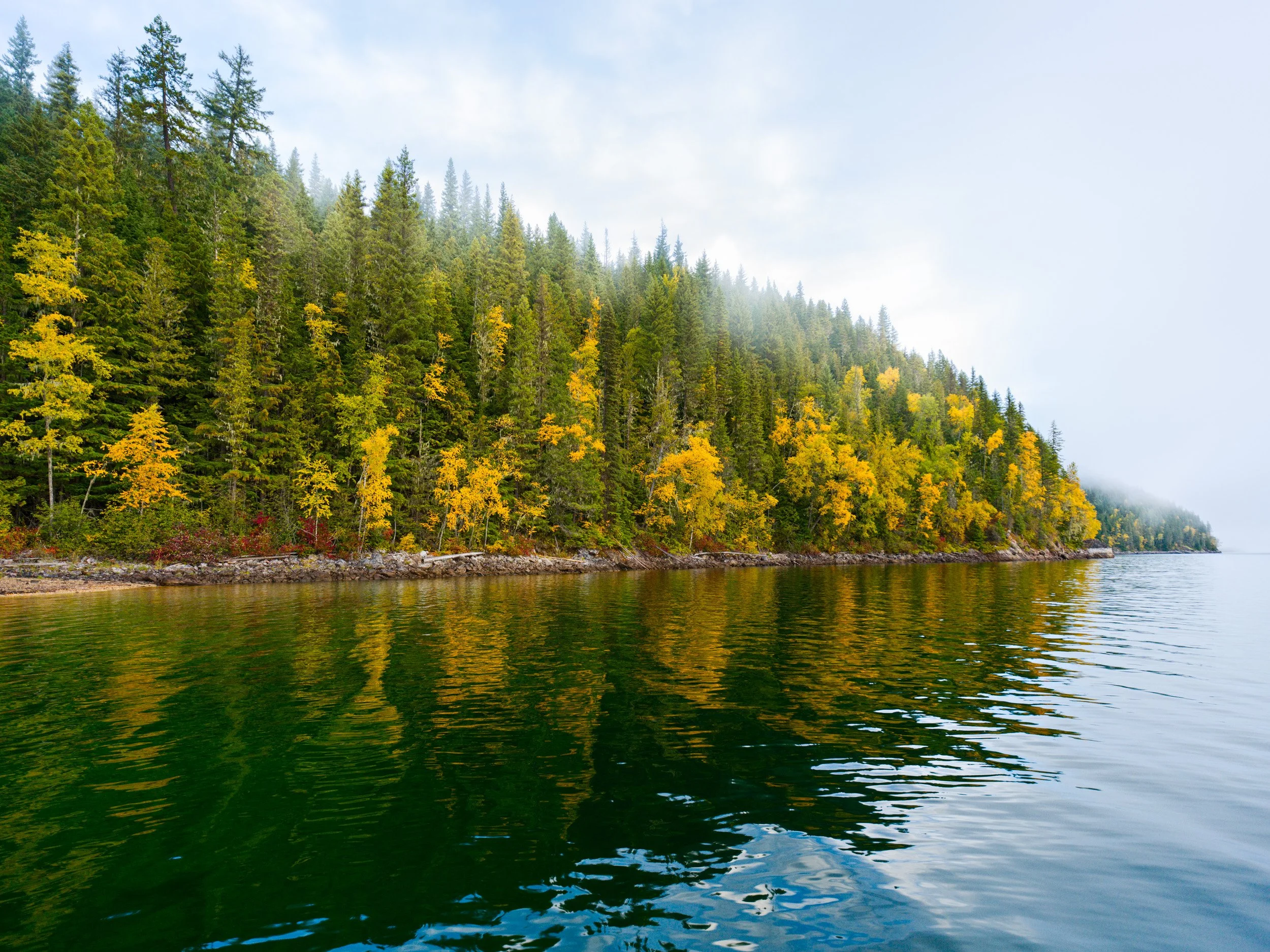 Quesnel Lake – Summer & Fall 2025