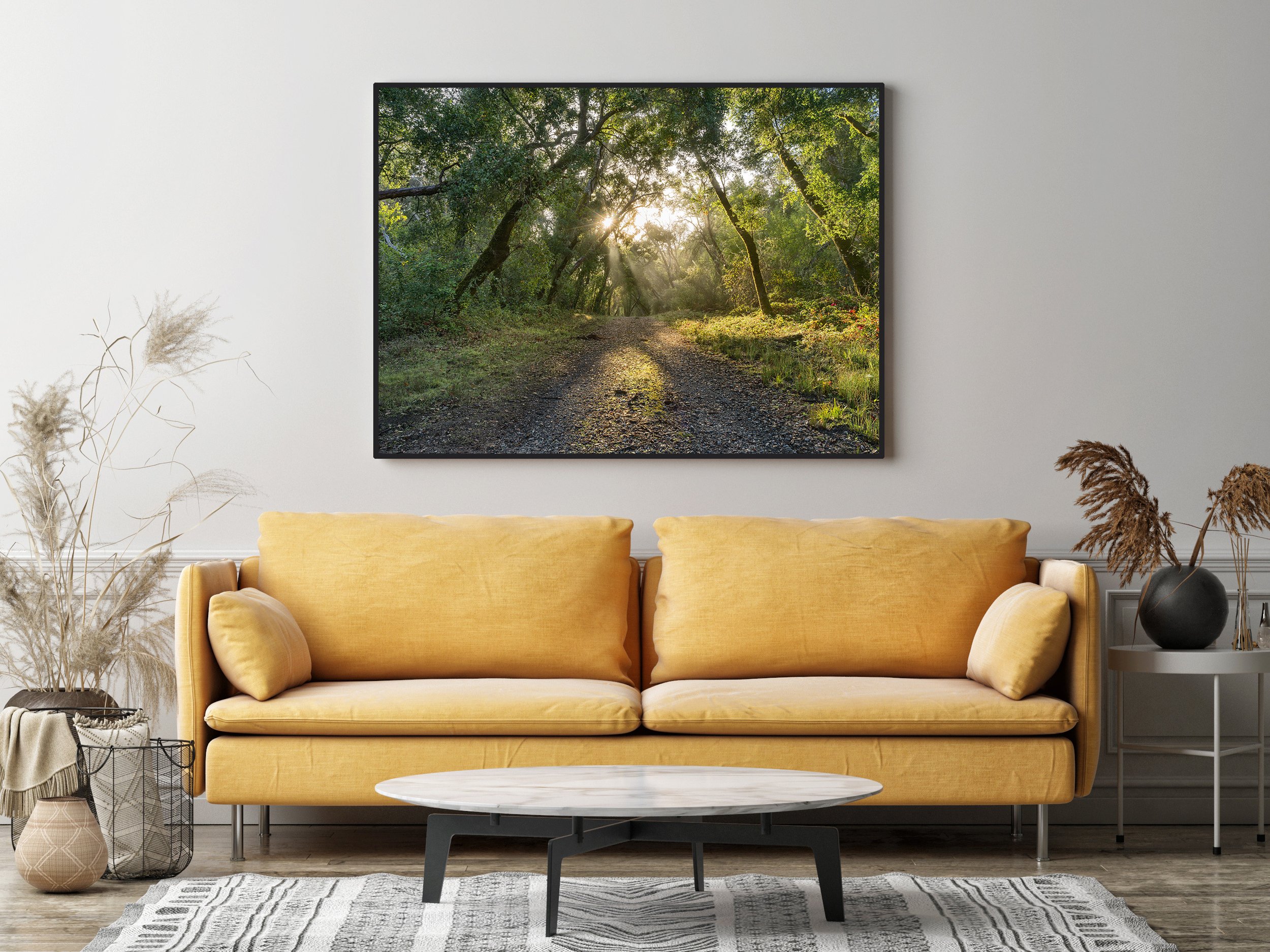 AdobeStock_358181114 Morning Light.jpg