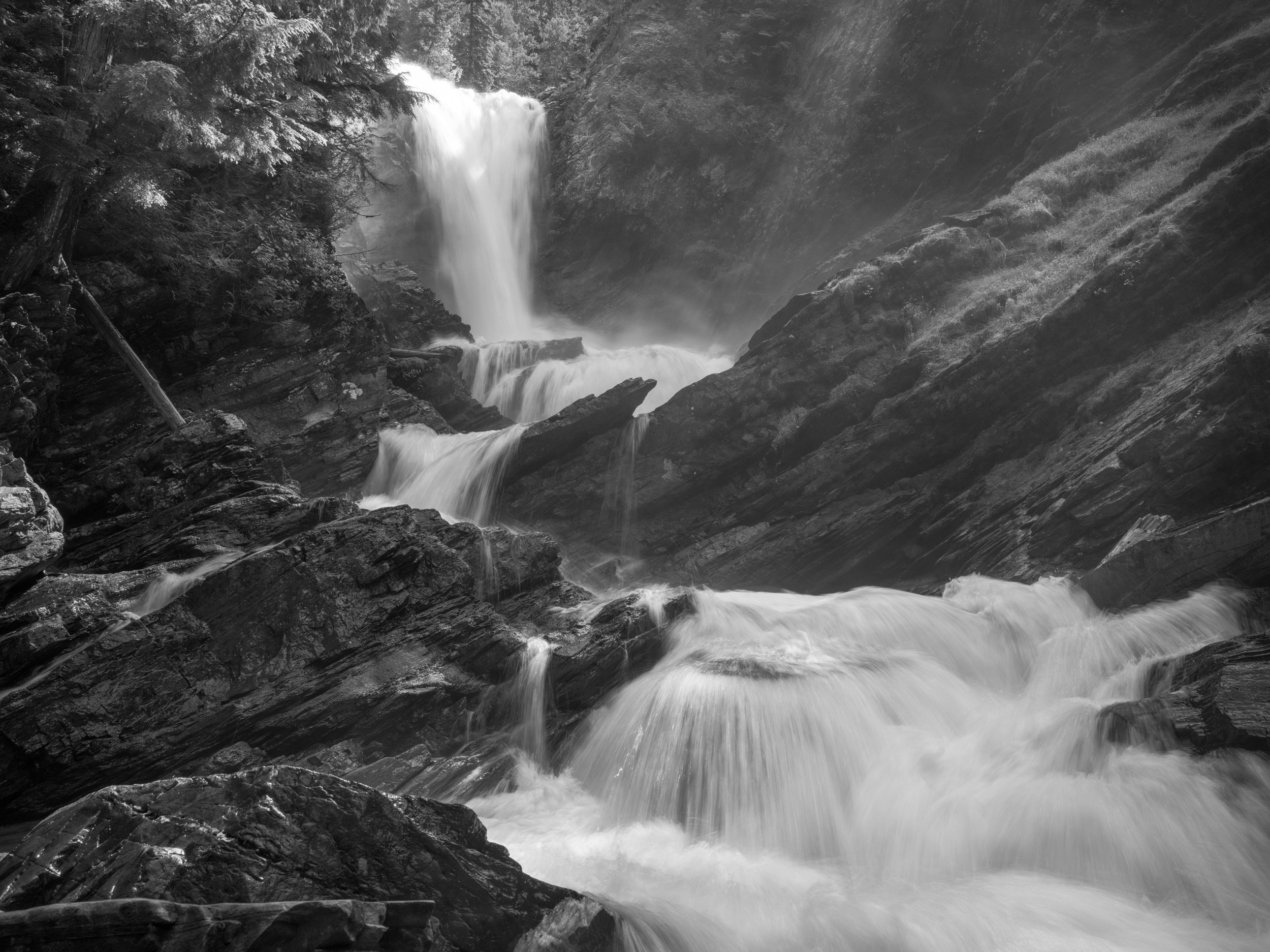 26-0729 CFV100 8719.jpg