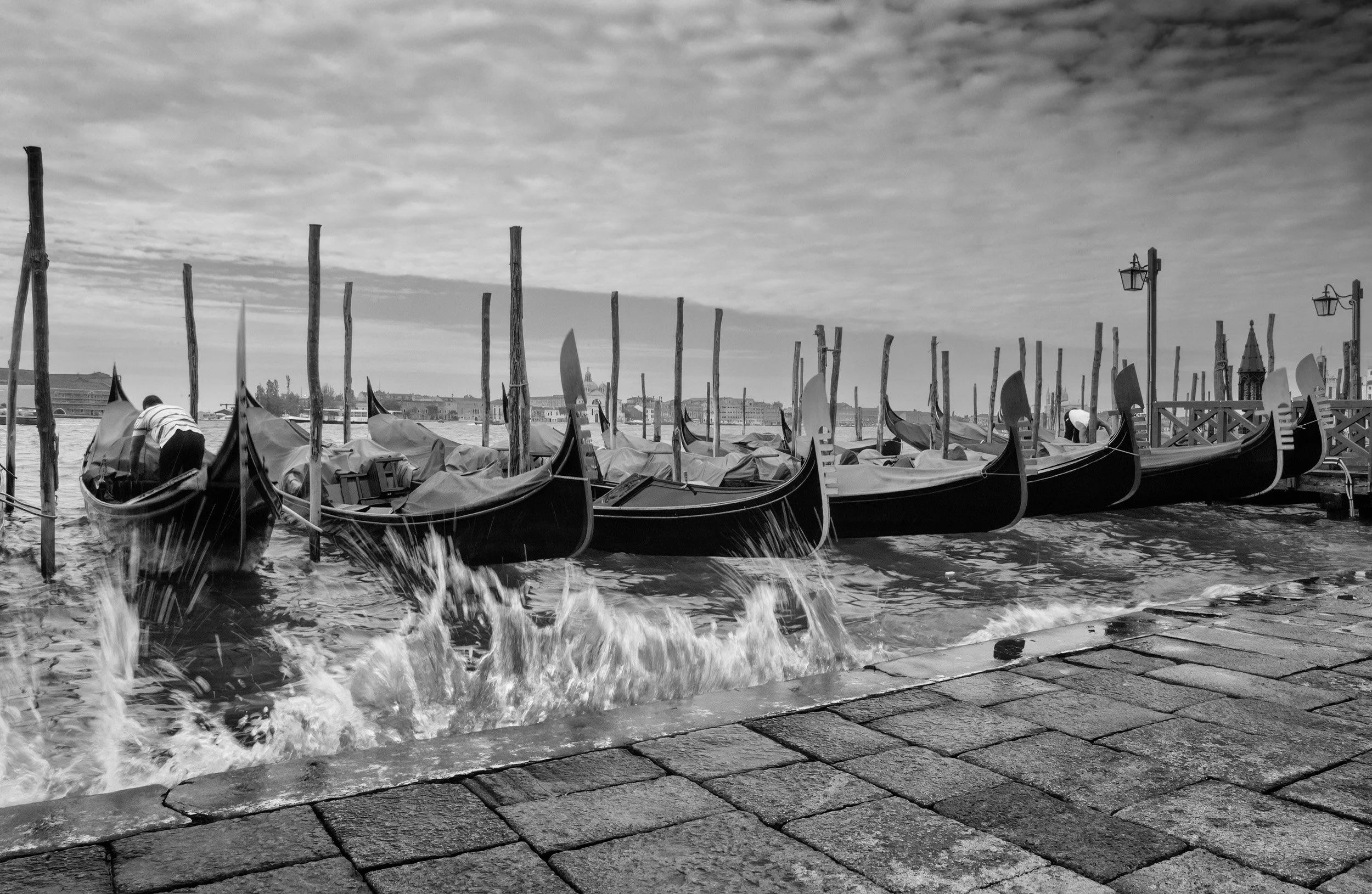 02-0606 DSC_2684.jpg