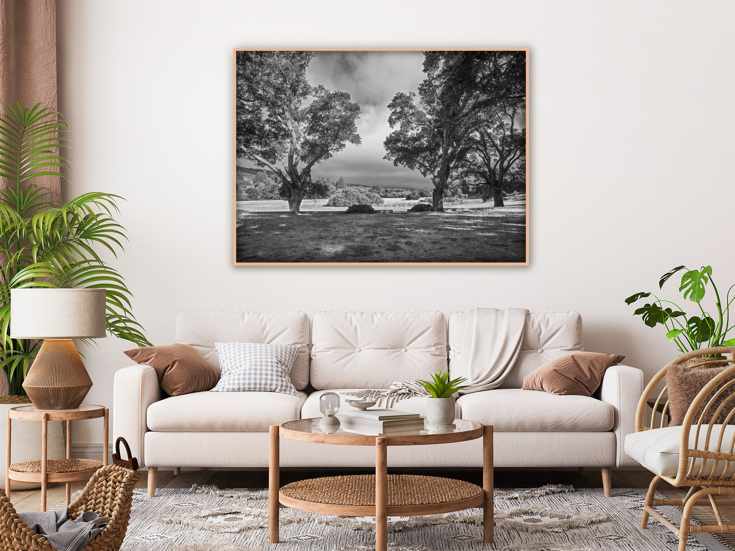 AdobeStock_426826837 Two Oaks.jpg