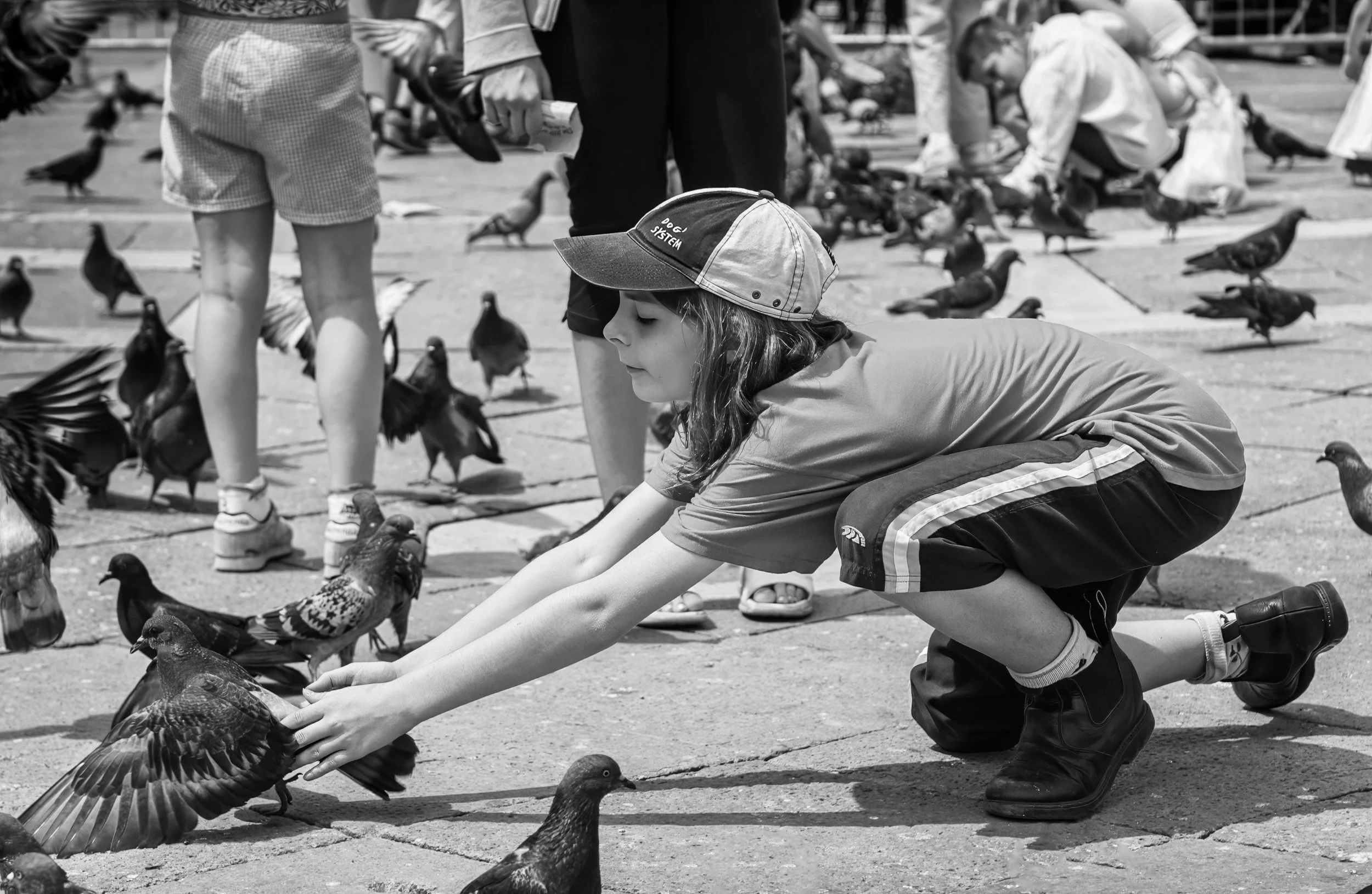 02-0604 DSC_2314.jpg