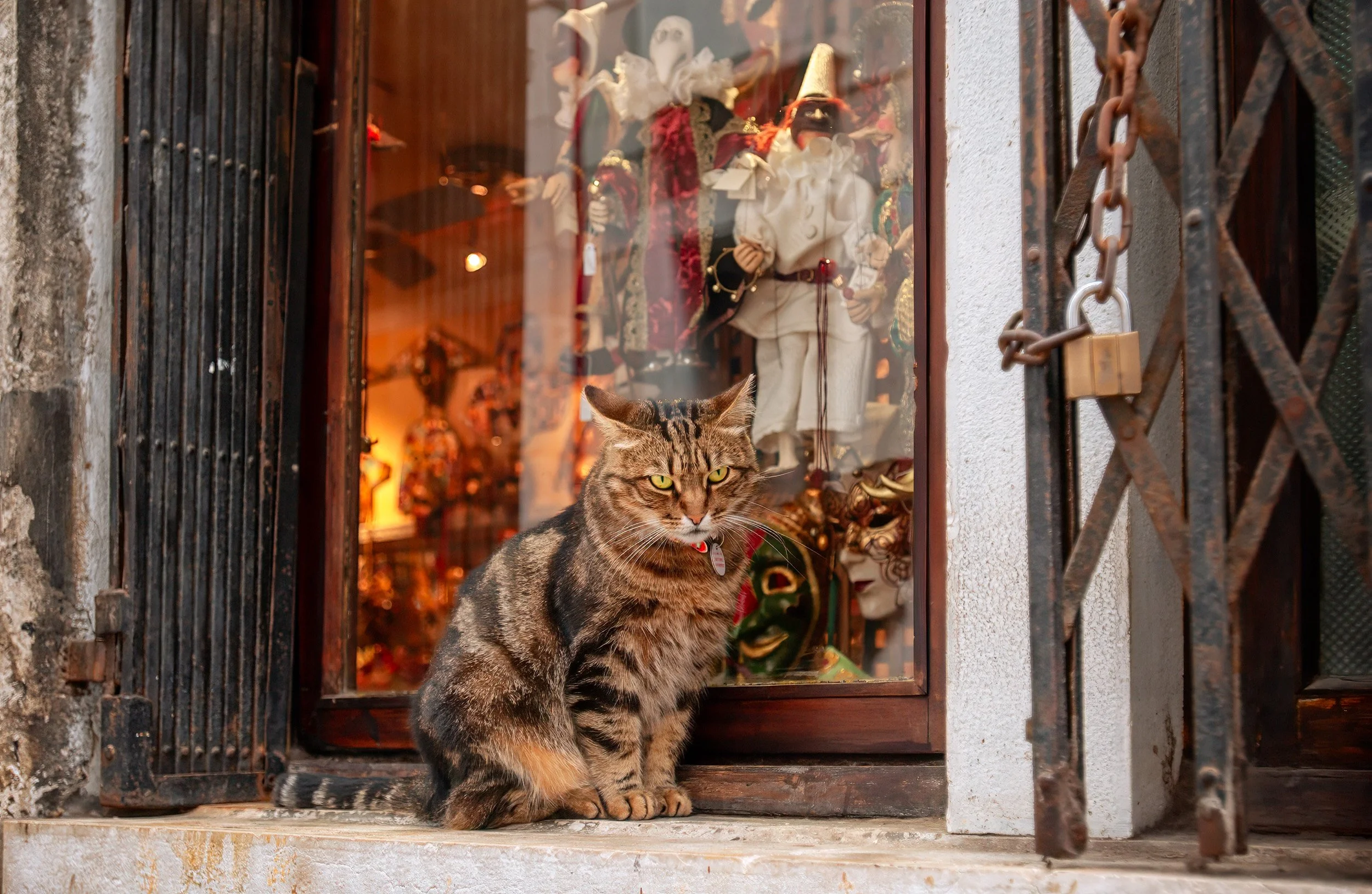 02-0605 DSC_2521.jpg