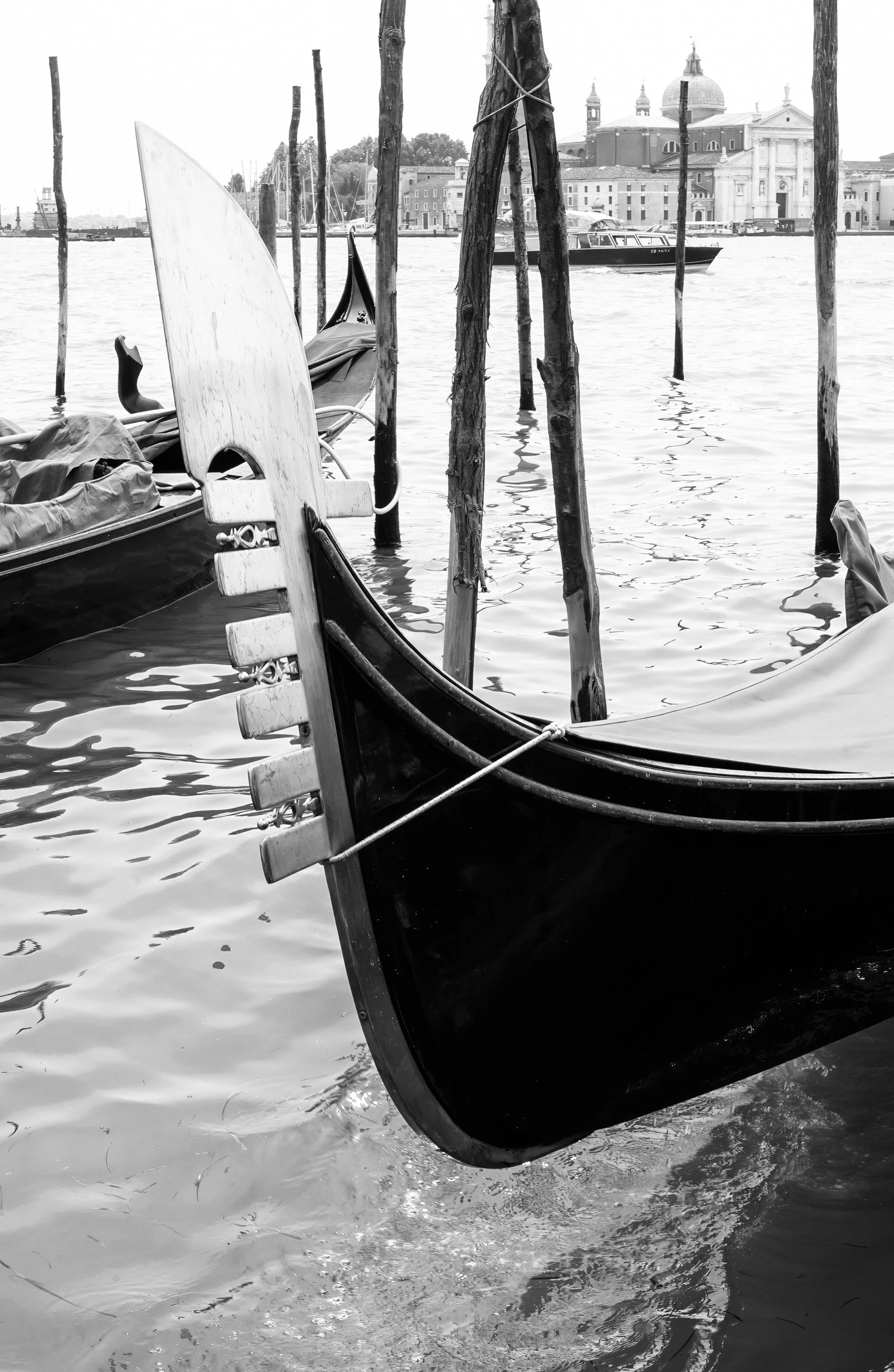 02-0604 DSC_2352.jpg