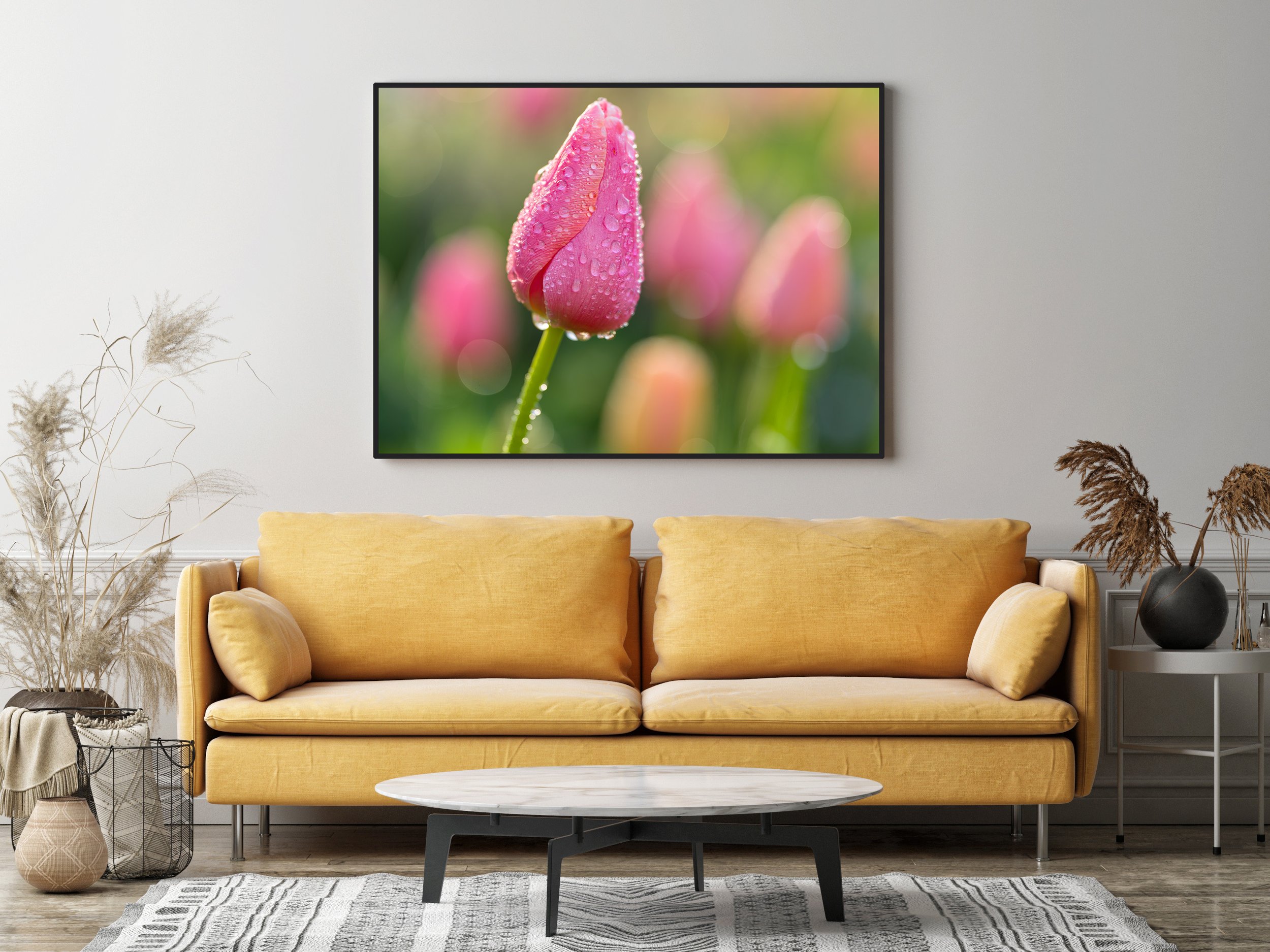 AdobeStock_358181114 Filoli Tulip Water.jpg