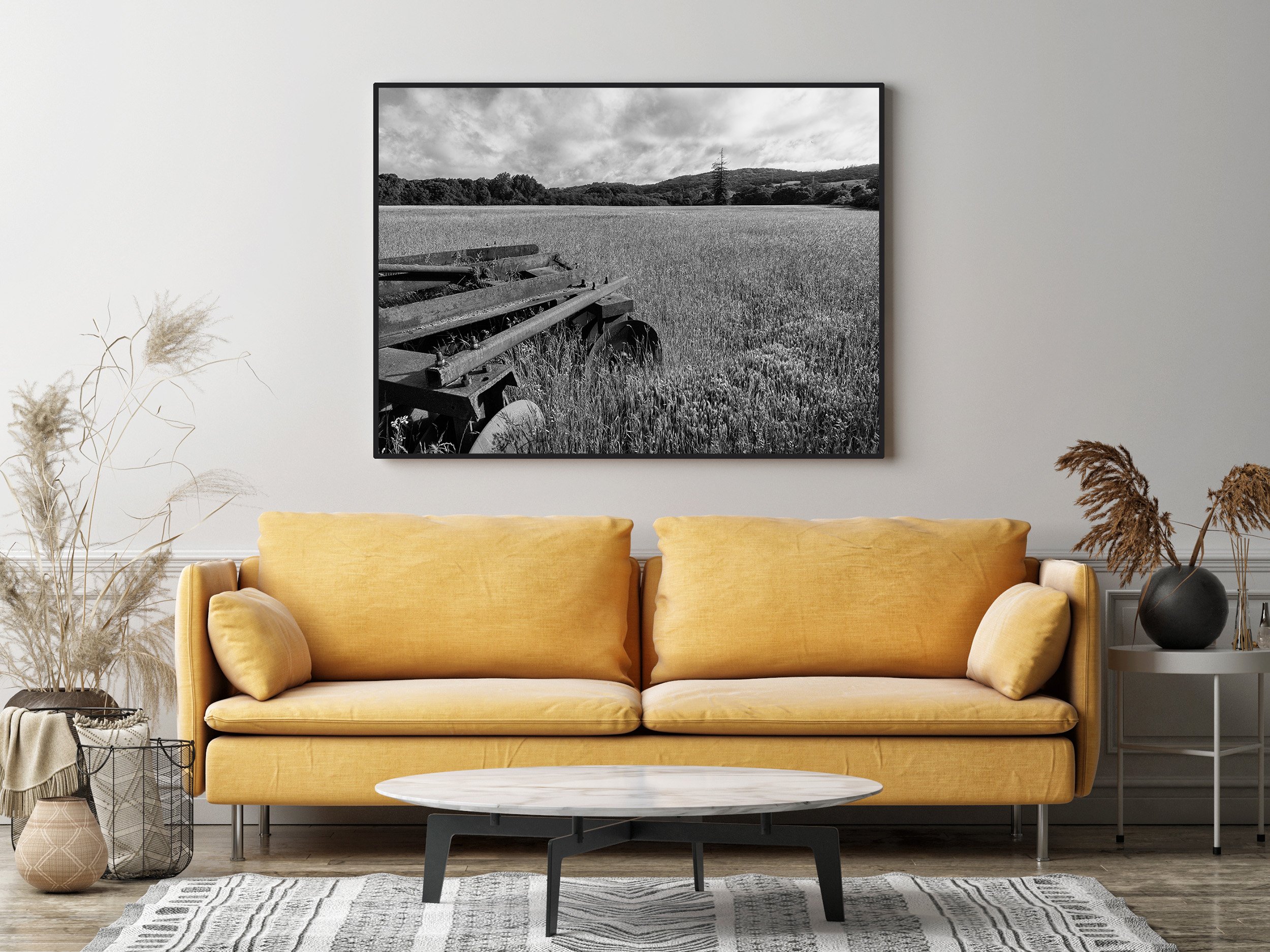 AdobeStock_358181114 In The Field.jpg