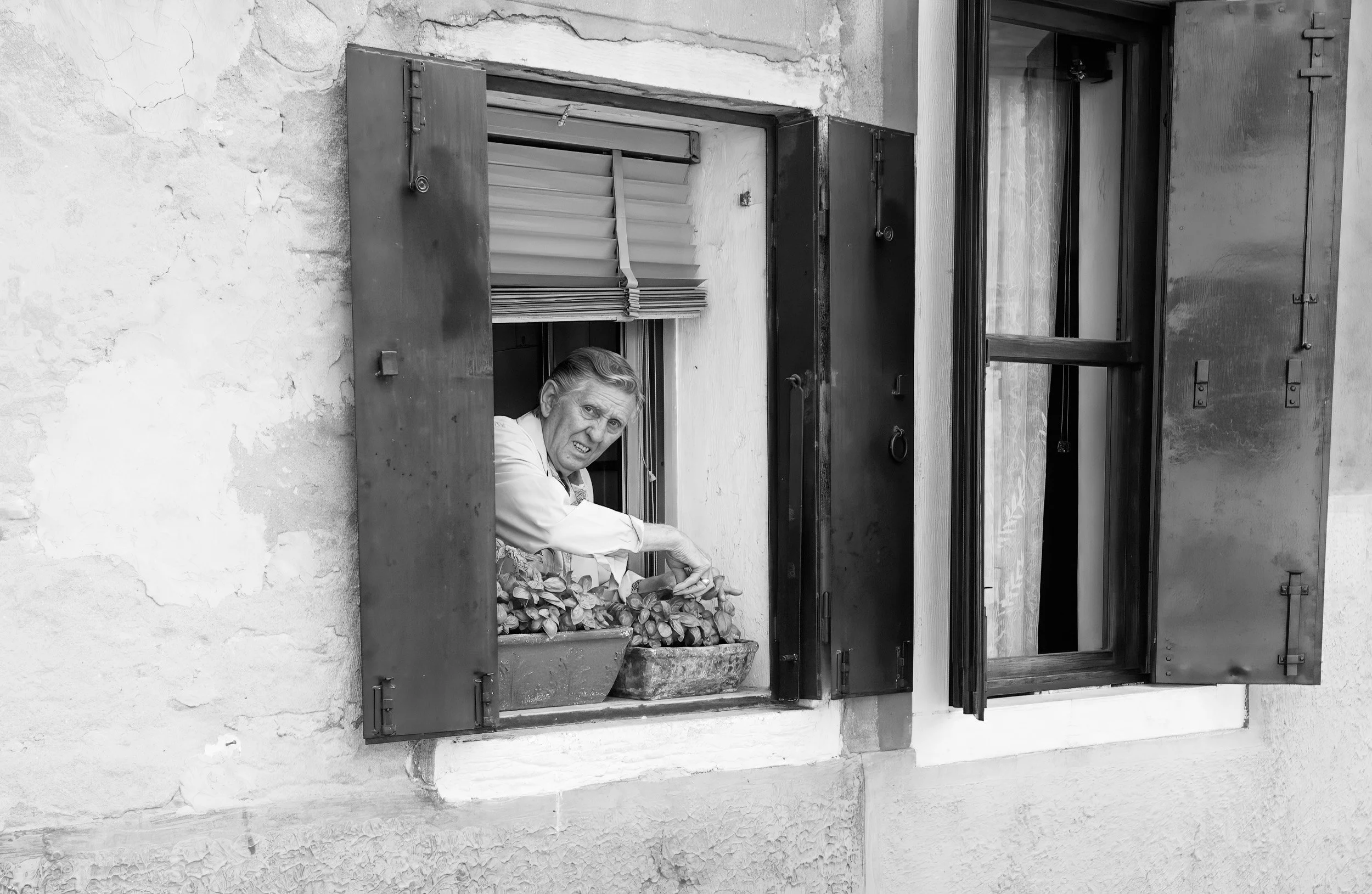 02-0603 DSC_2190.jpg