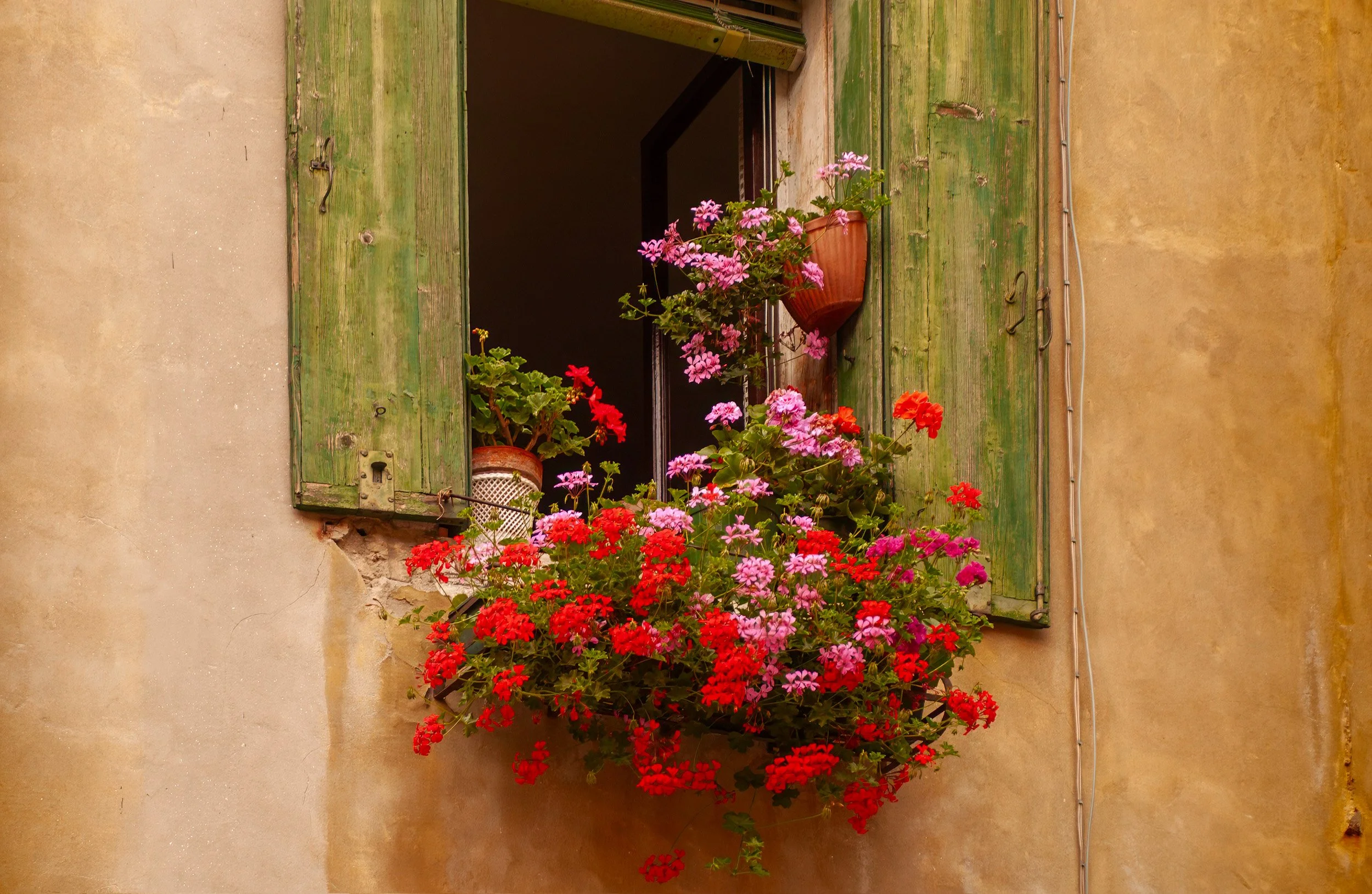 02-0603 DSC_2266.jpg