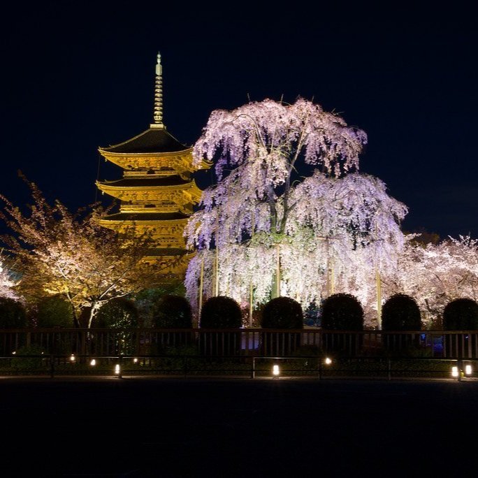 Toji Temple