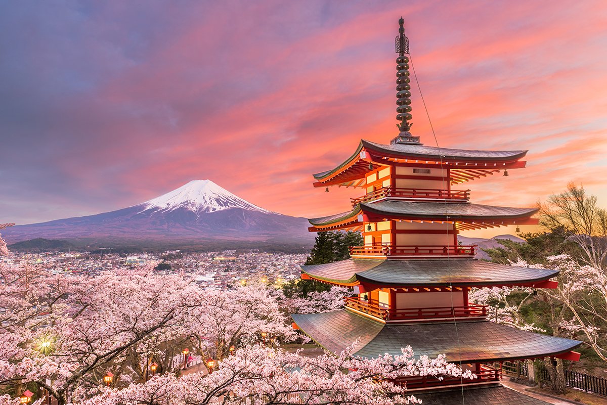 Cherry Blossoms - Japan National Tourism Organization