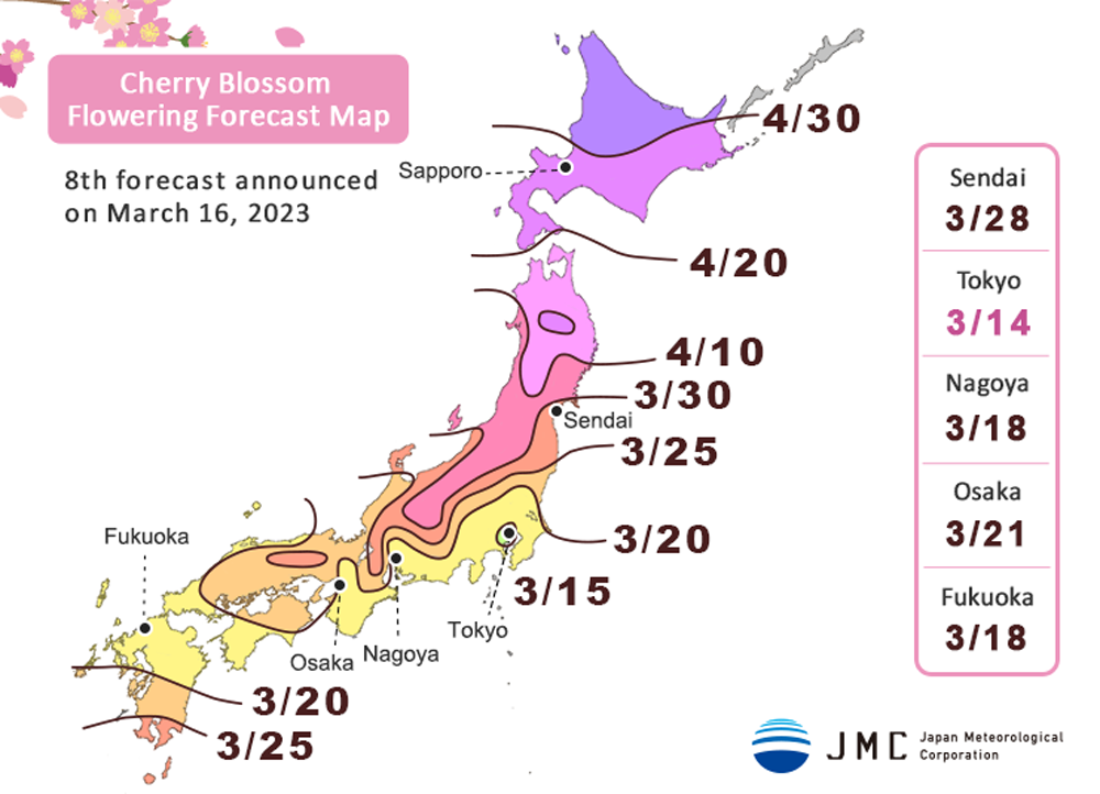 Cherry Blossom Forecast 2024 — Travel Japan with