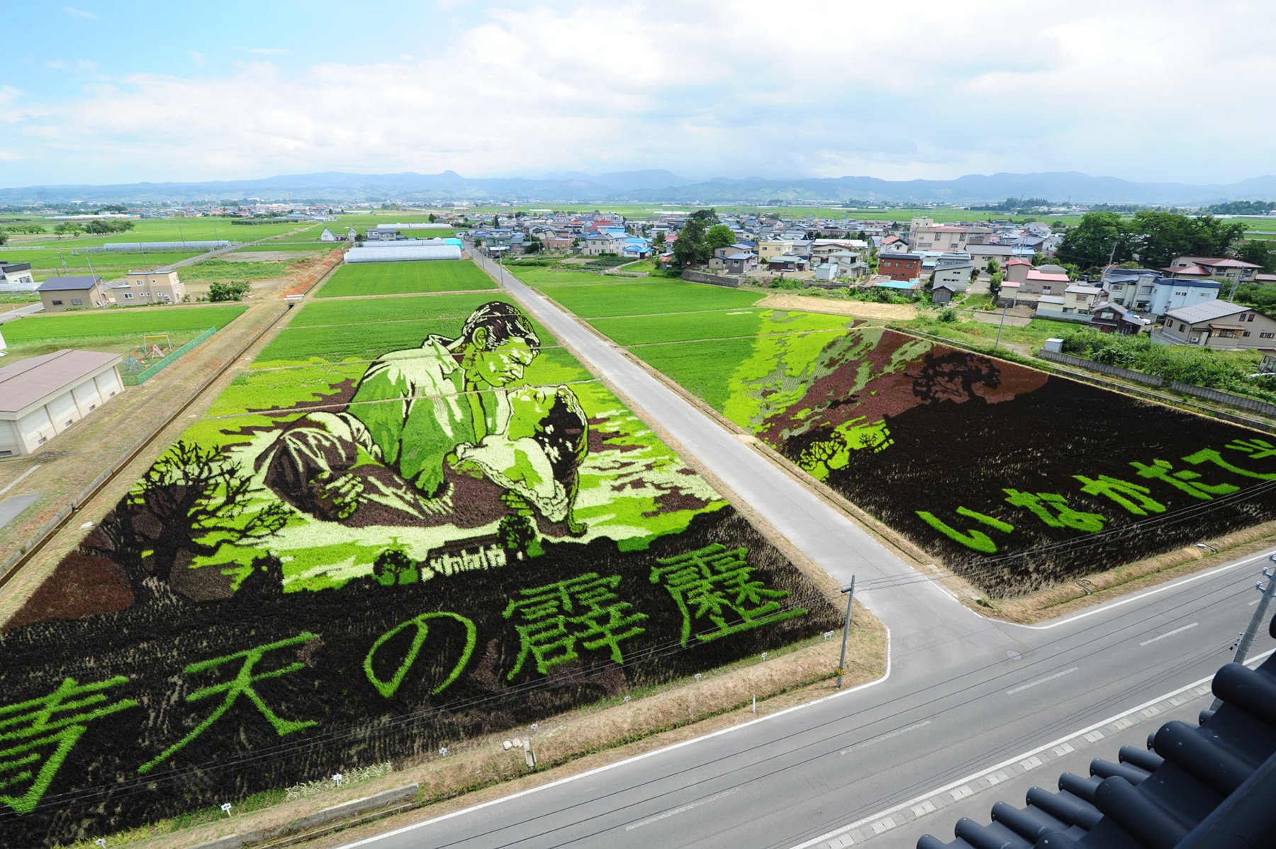 Inakadate rice paddy.jpg