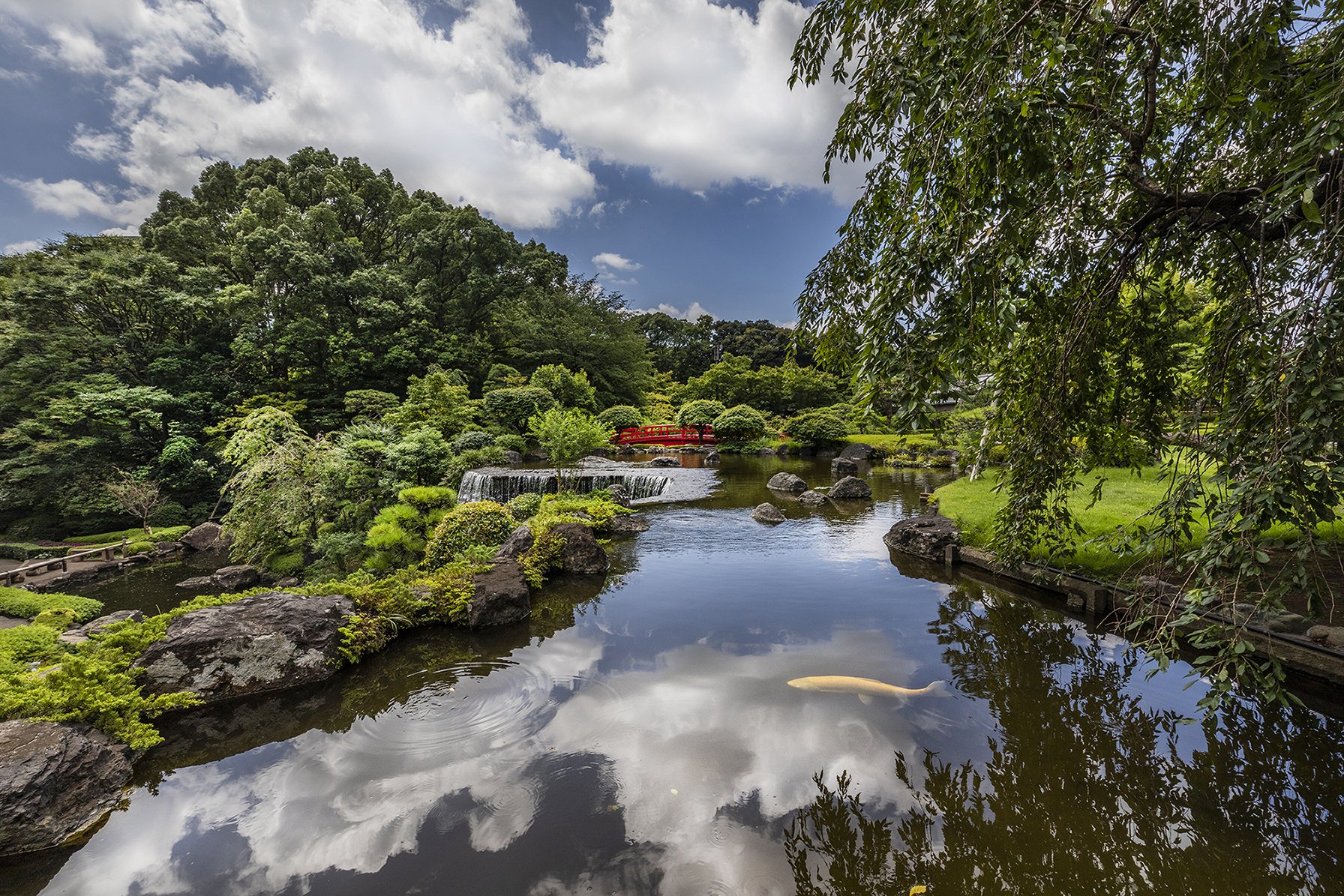 Japanese Garden.jpg