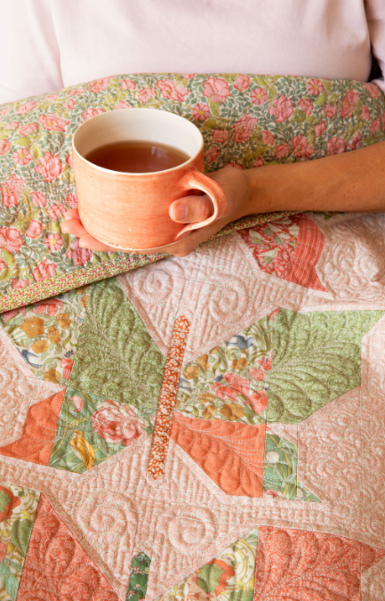 Songbird Trunk SHow - Lockport, IL