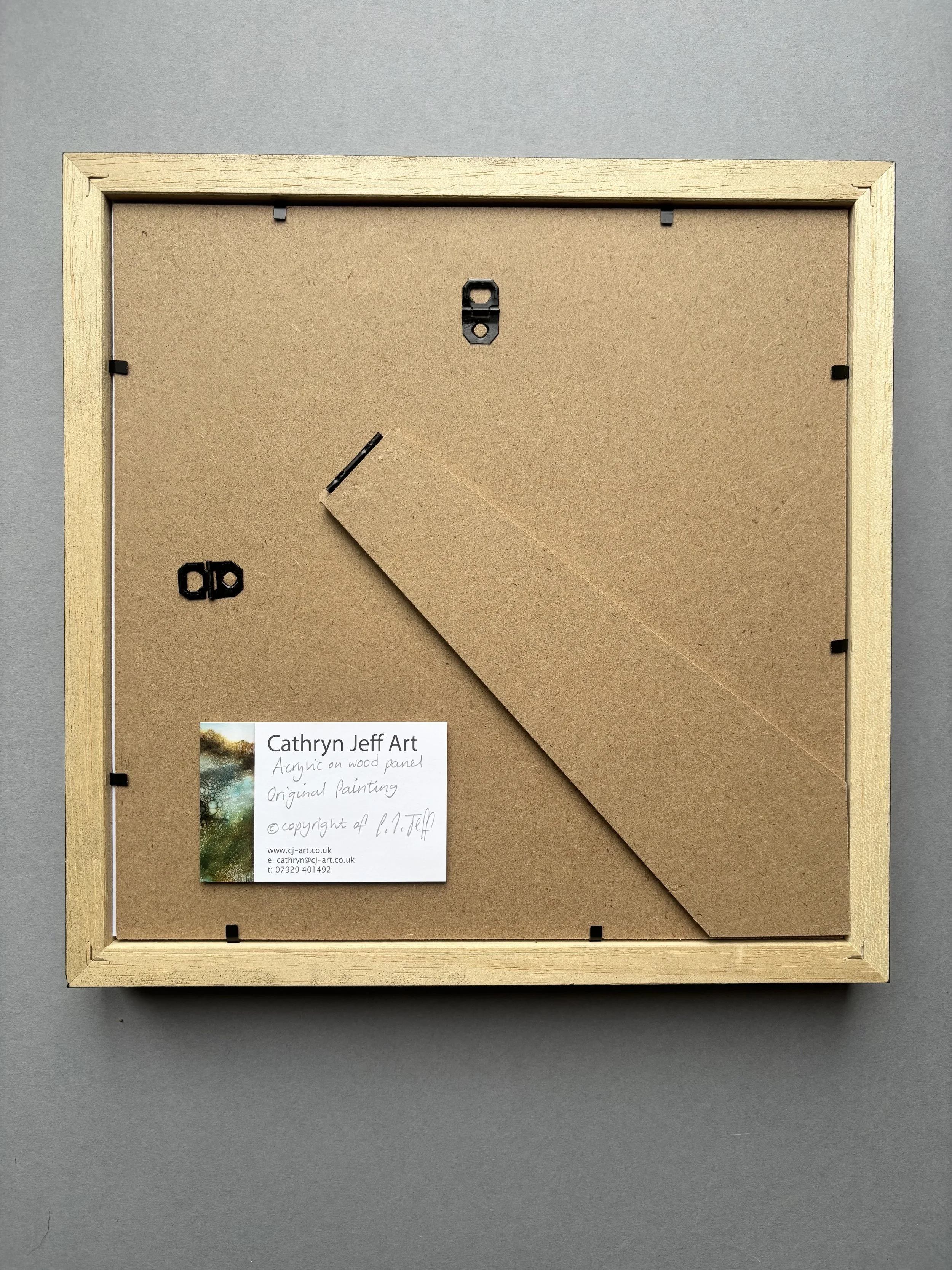 The Light Beyond1 back.jpg