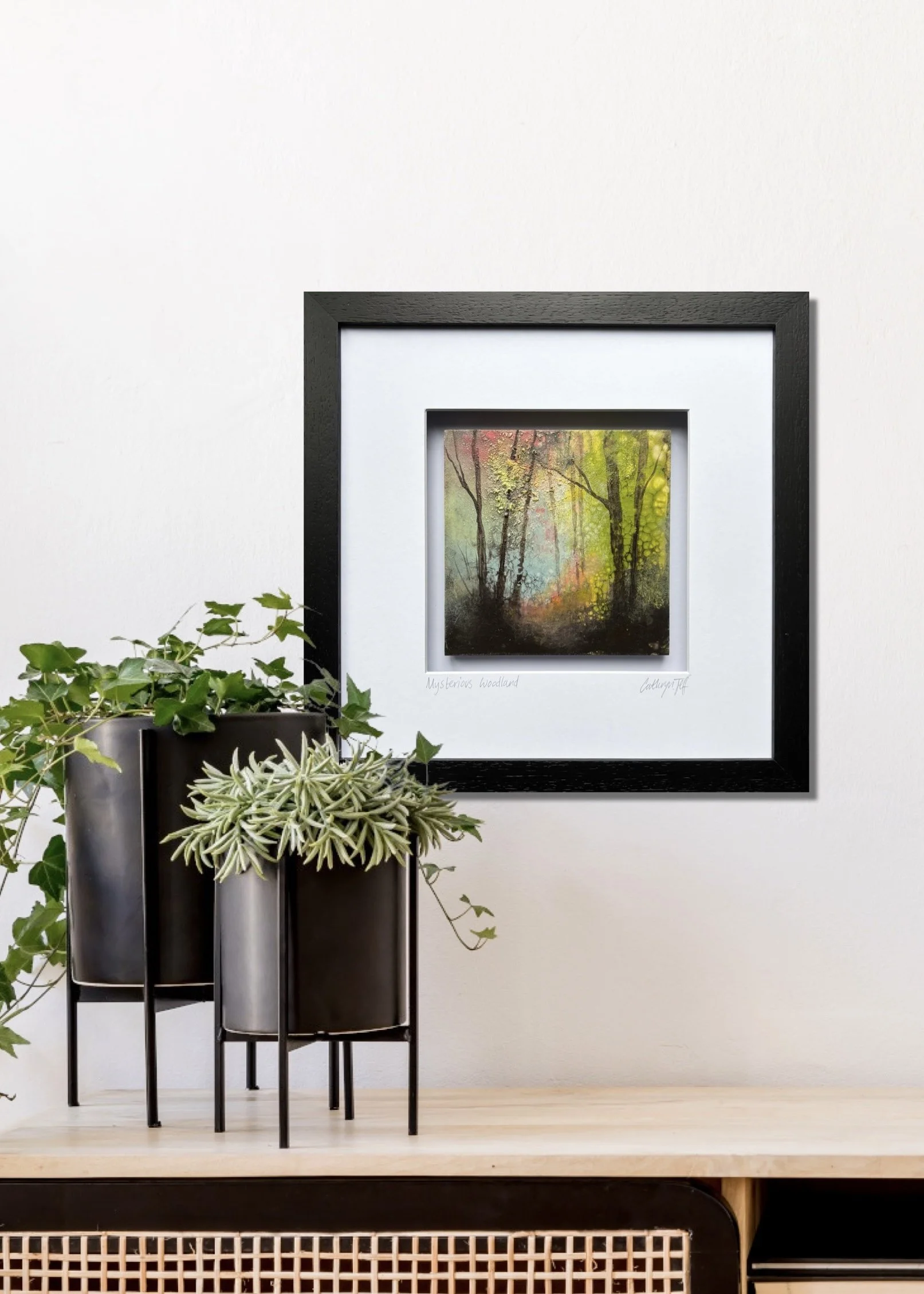 Mysterious Woodland insitu2.jpg