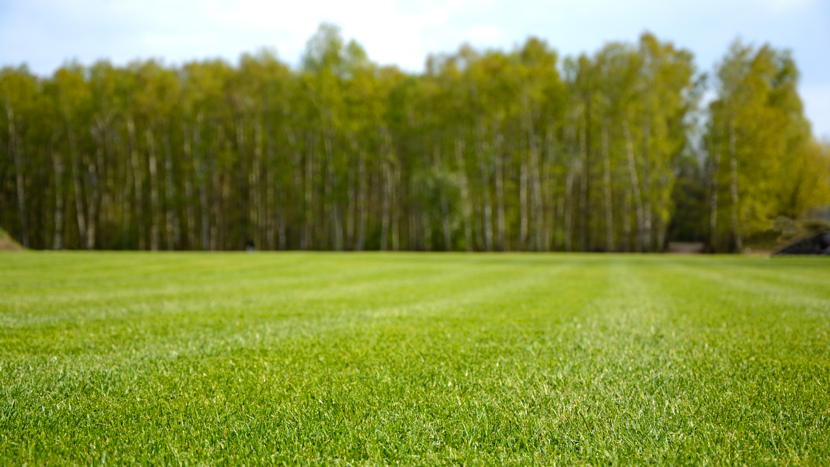Preparing your Lawn for Spring — Advanced Quality Lawn