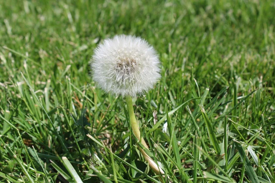 Ditch the Chemicals with These Natural Pre-Emergent Weed Killers