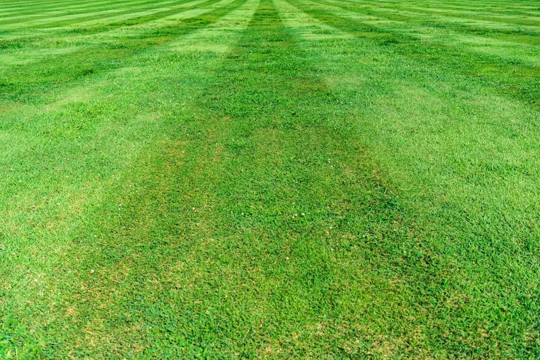 Winning the Battle with Expert Crabgrass Control in Lawns