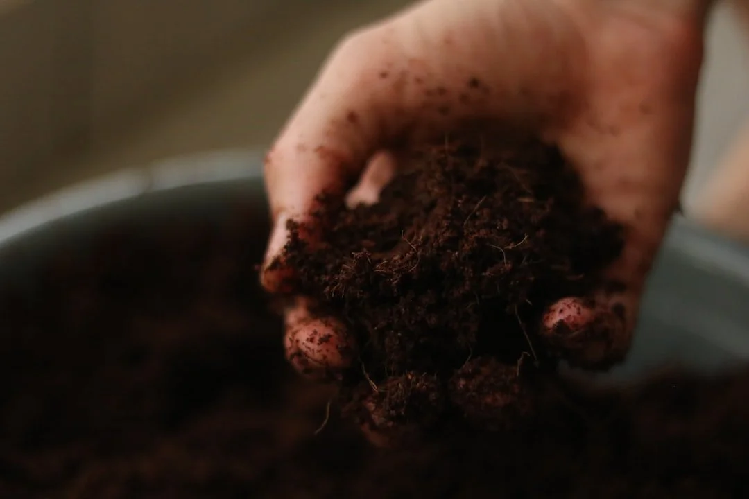 Get the Best Results with Akron Lawn Soil Testing
