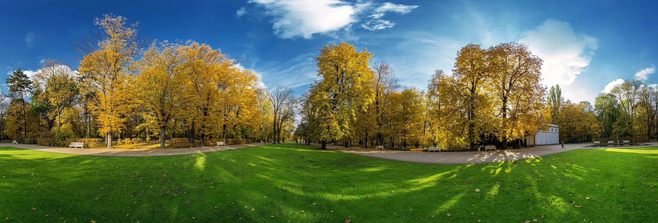 The Ultimate Autumn Lawn Care Survival Guide