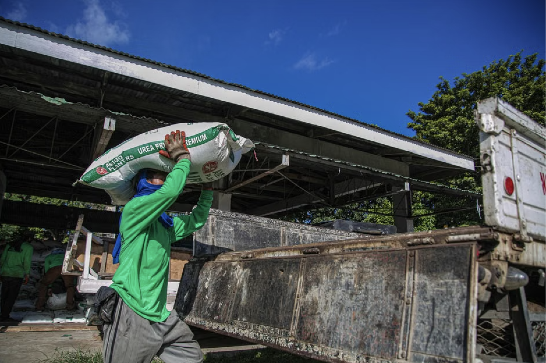 The Early Bird Gets the Green: Spring Fertilizing Tips