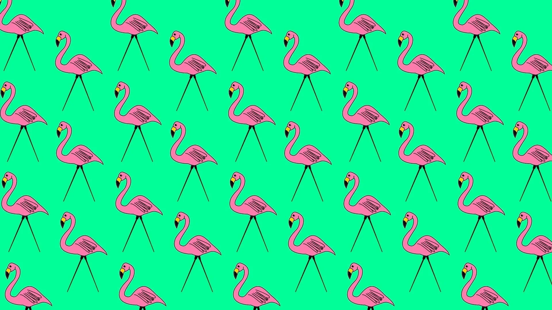 FLAMINGO-PATTERN---PINK-GREEN.jpg