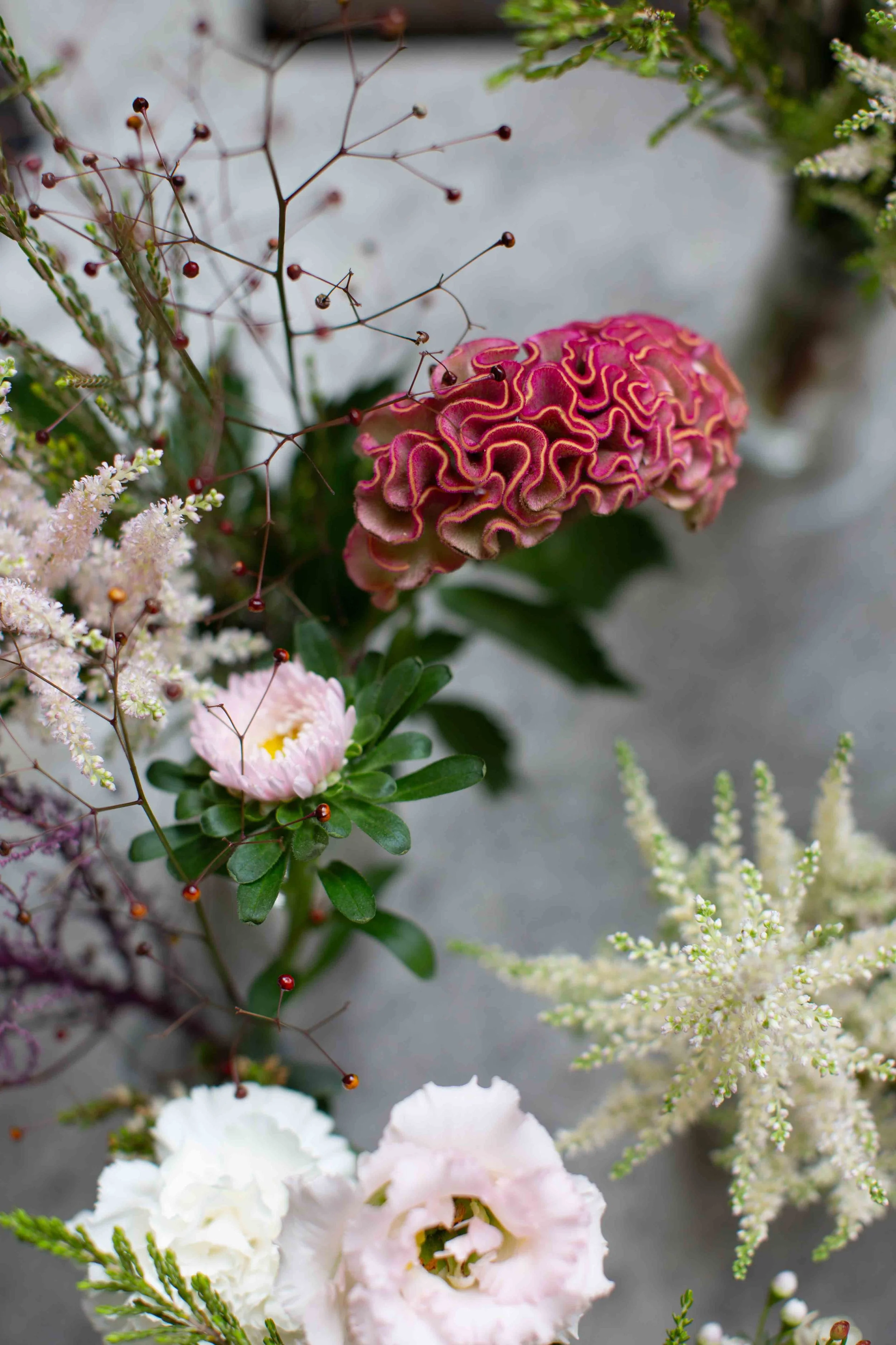 MUSICANTI MILANO-13.jpg